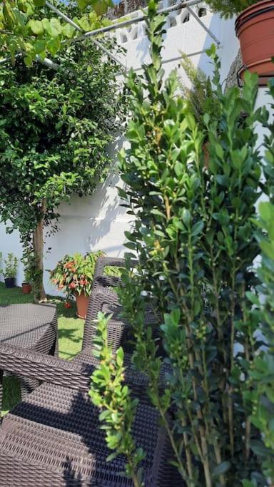 Сasa de vacaciones La Casita