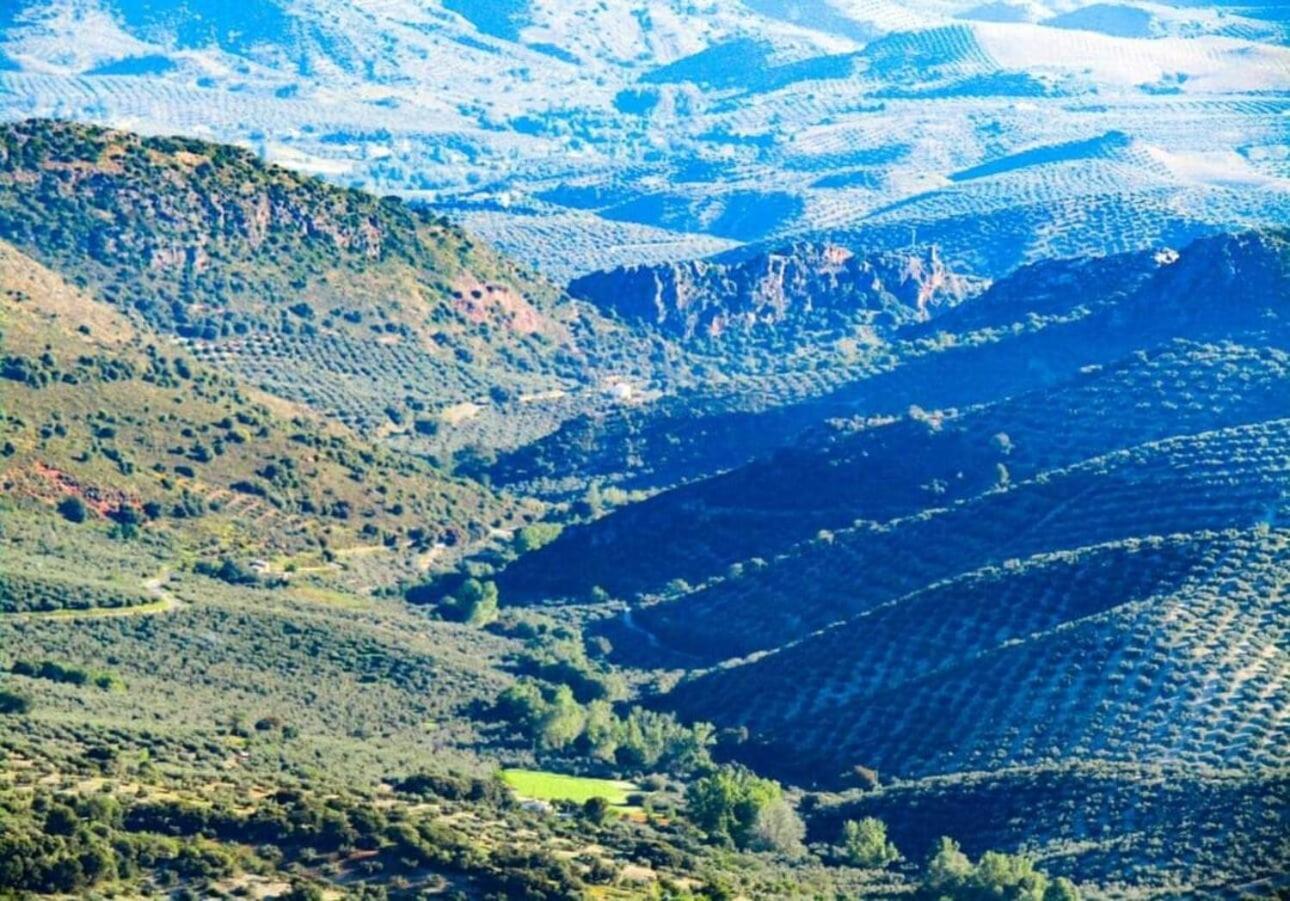 Cerro De La Cruz, Increibles Vistas En El Centro De Andalucia Holiday home *