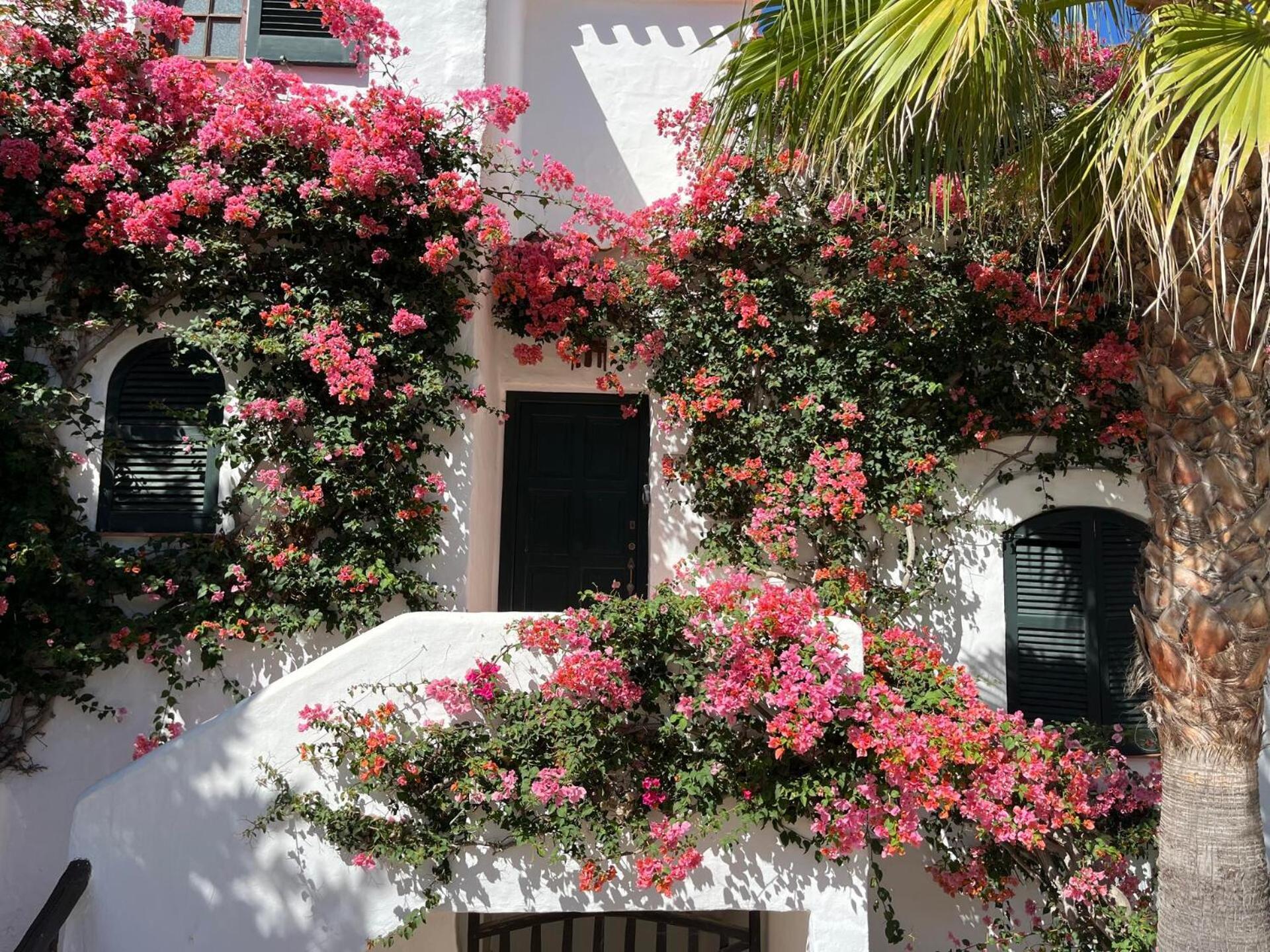 Apartment Mar Y Sol By Som Menorca *