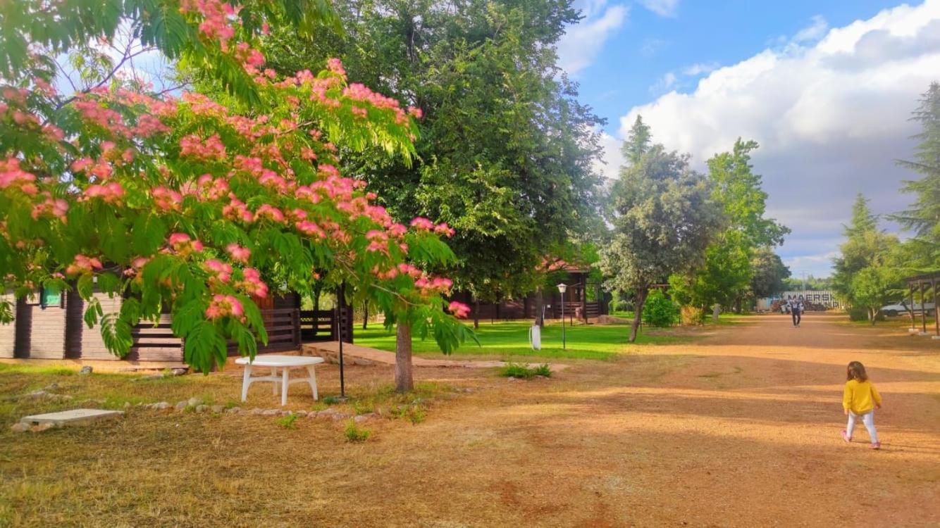 Tabla Honda Farm stay