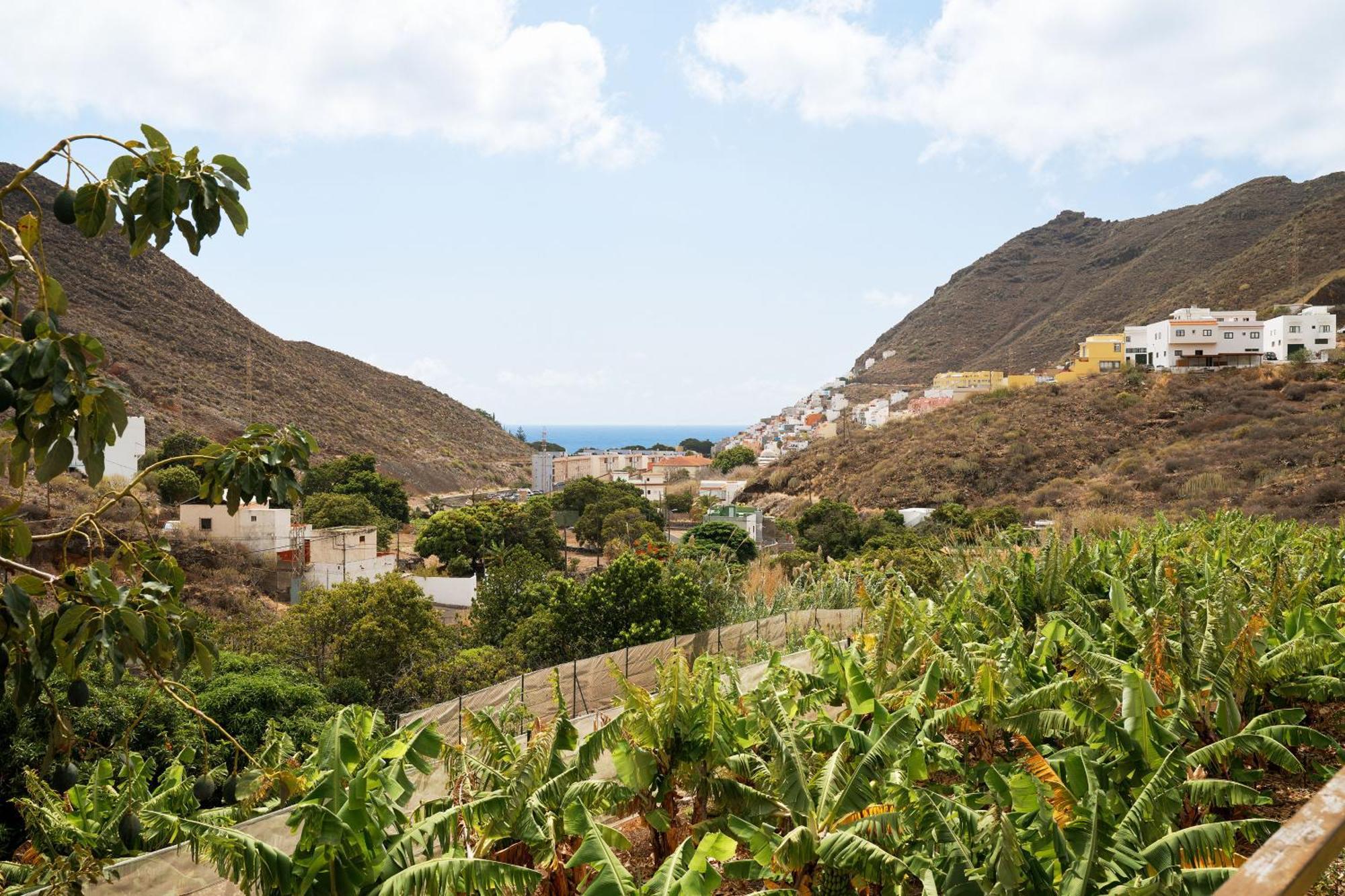 Villa Ecologica Quinta Tizones, Casa Aguacate Santa Cruz de Tenerife