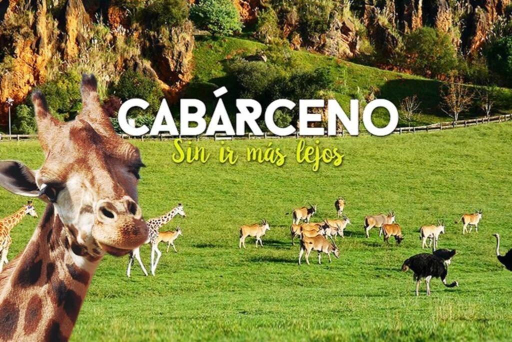 Familiar Close To Cabarceno *