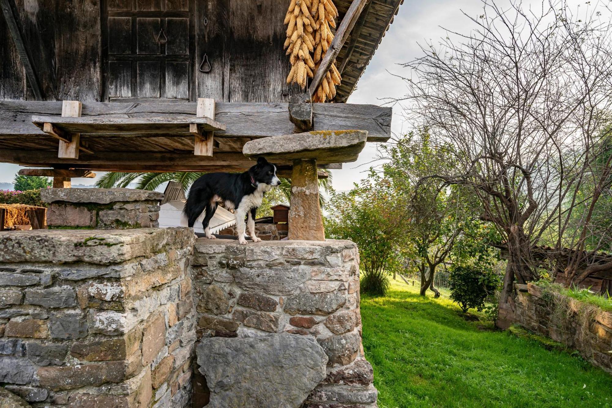 La Casina Del Fresnu *