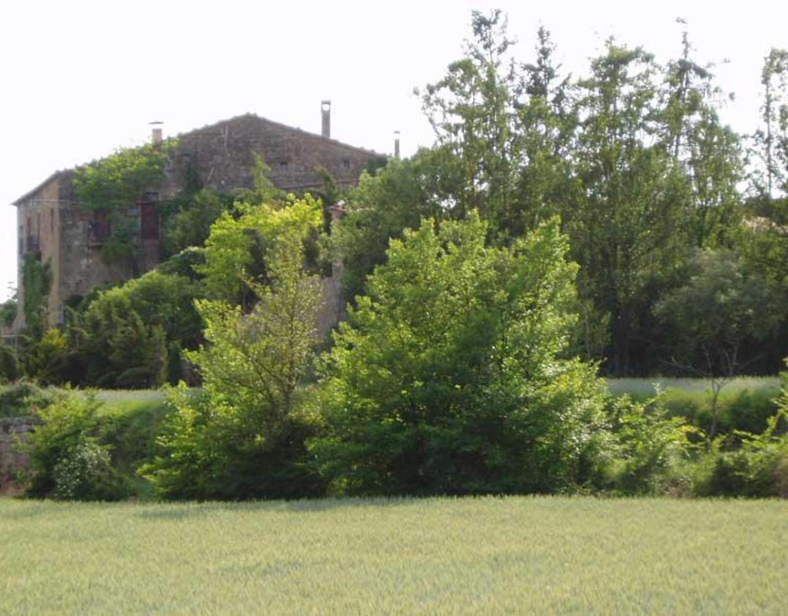 El Torrent