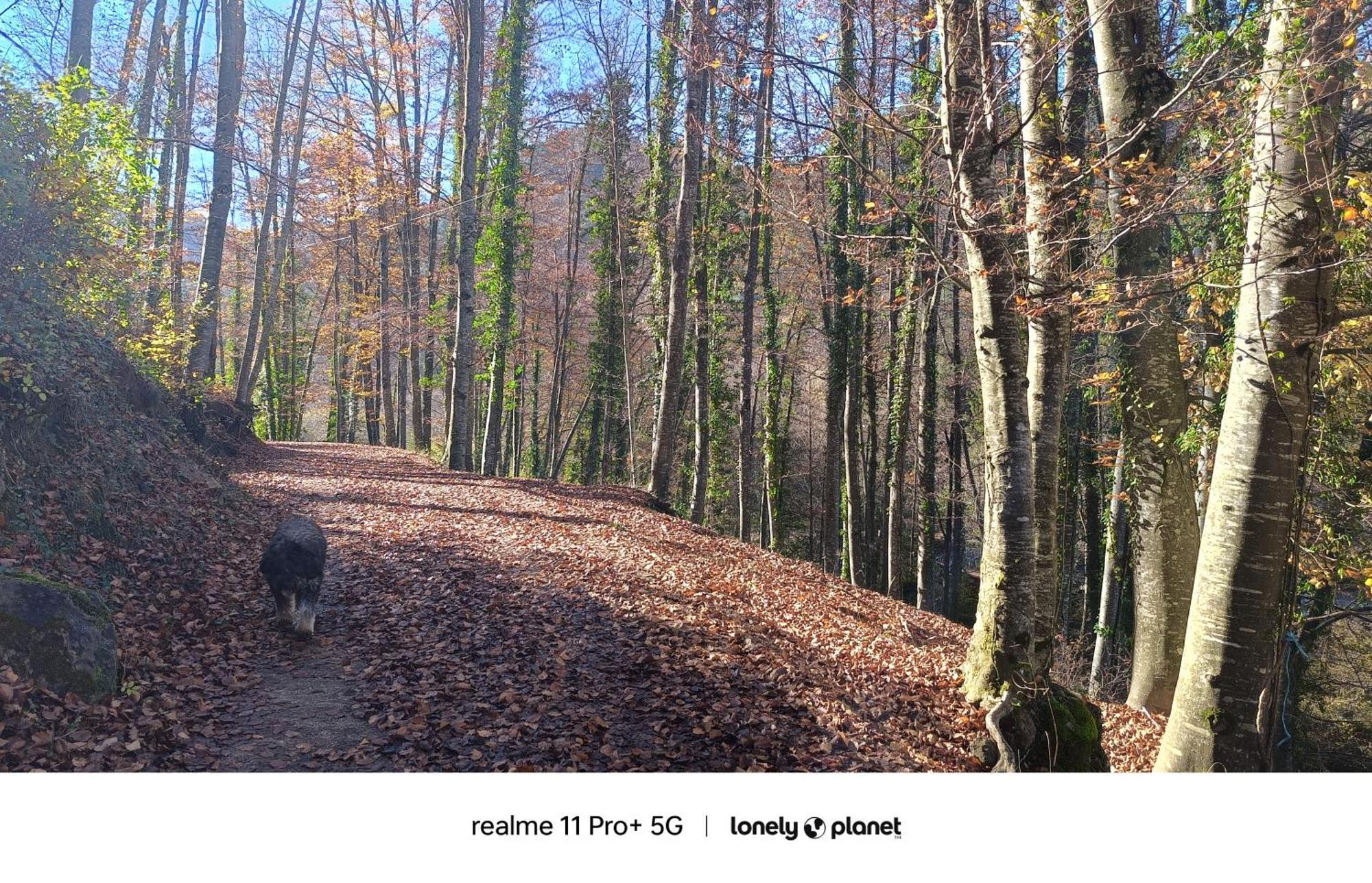 Allotjaments Rurals Punti Farm stay *