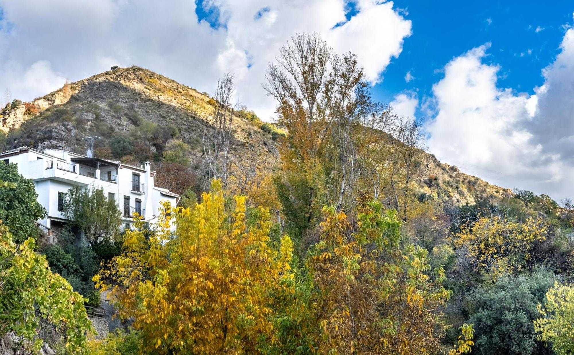 Arroyo De La Greda Güéjar Sierra
