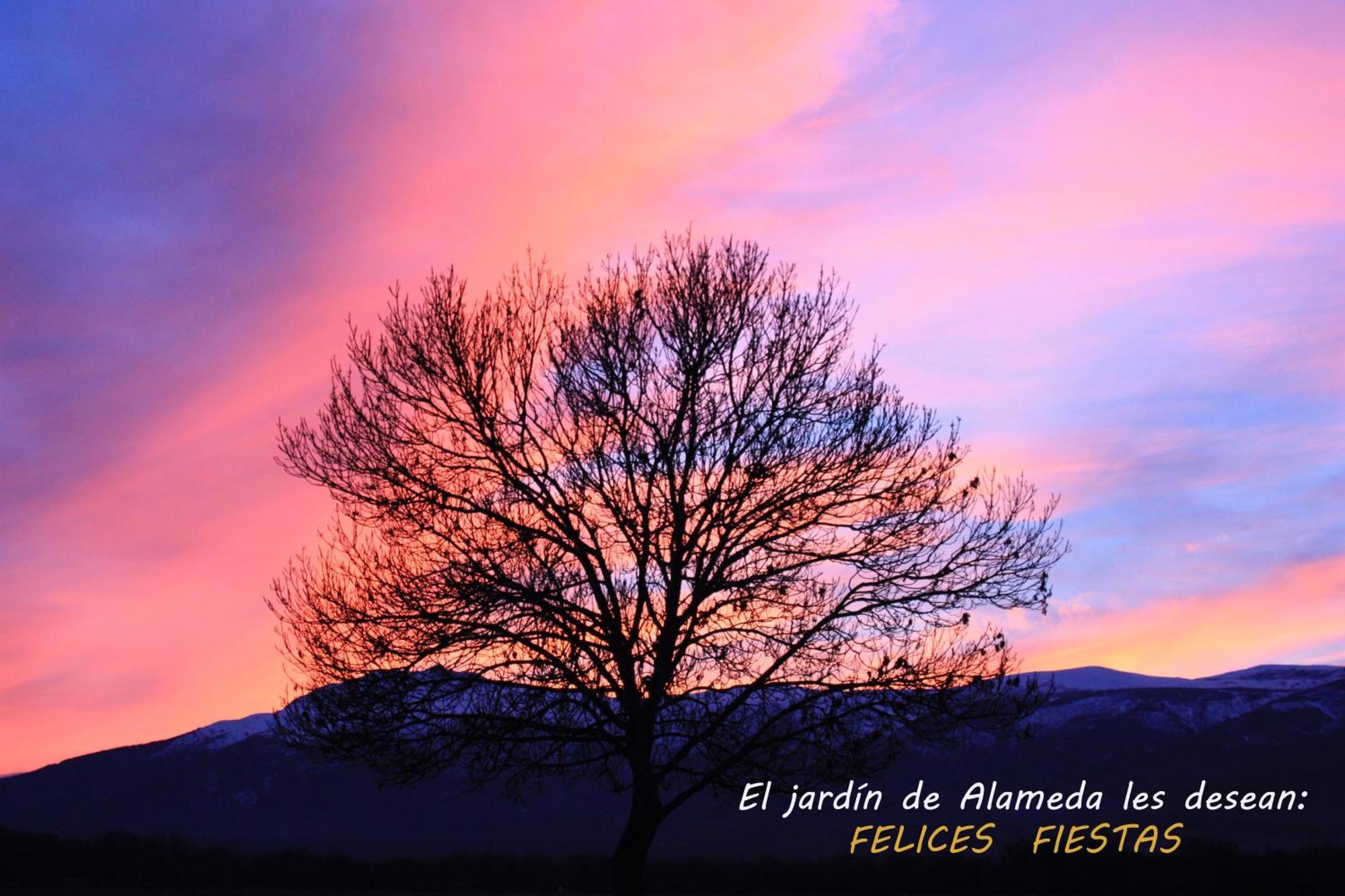 Holiday home El Jardin De Alameda