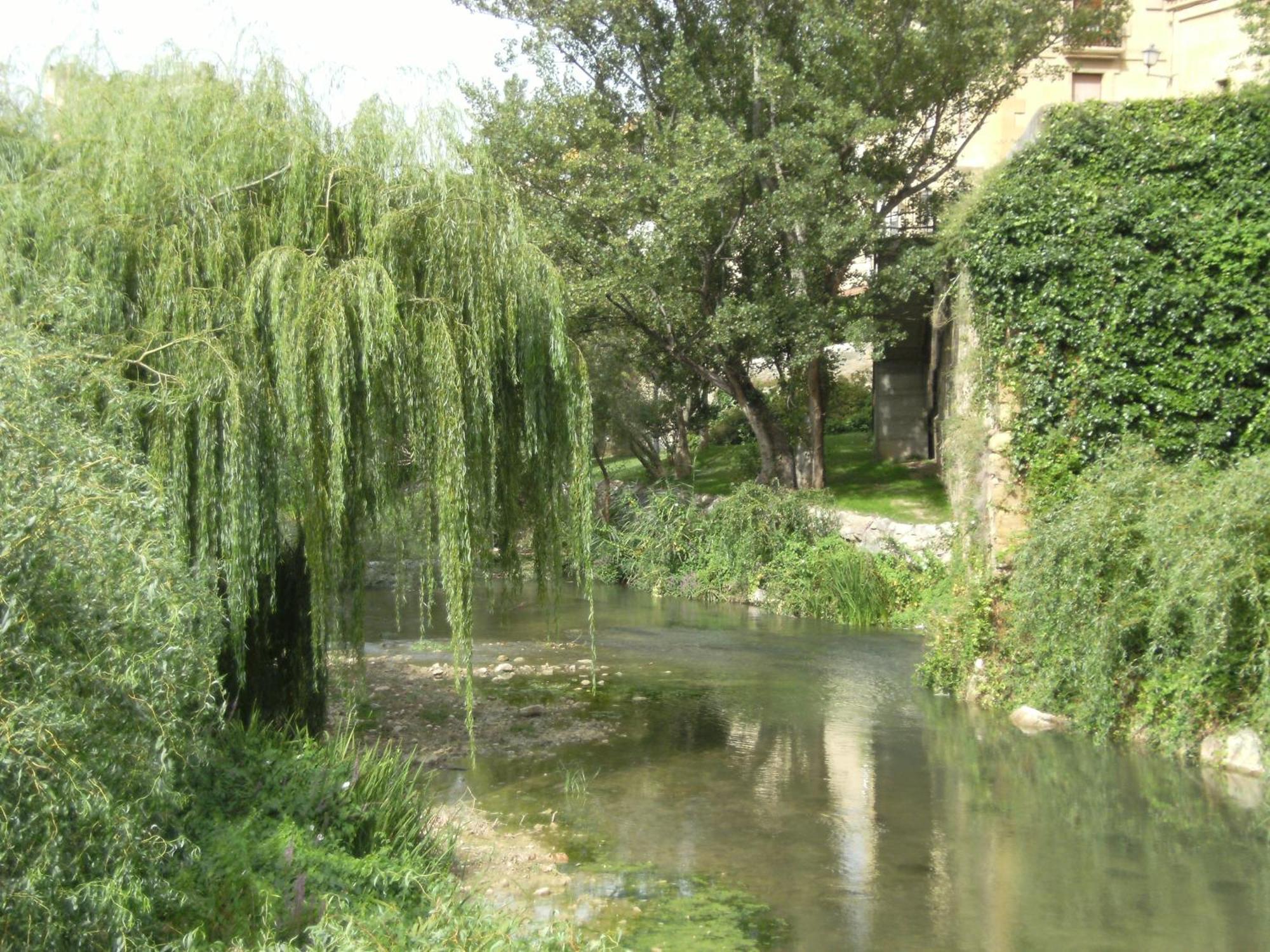 La Vina Cuzcurrita-Río Tirón
