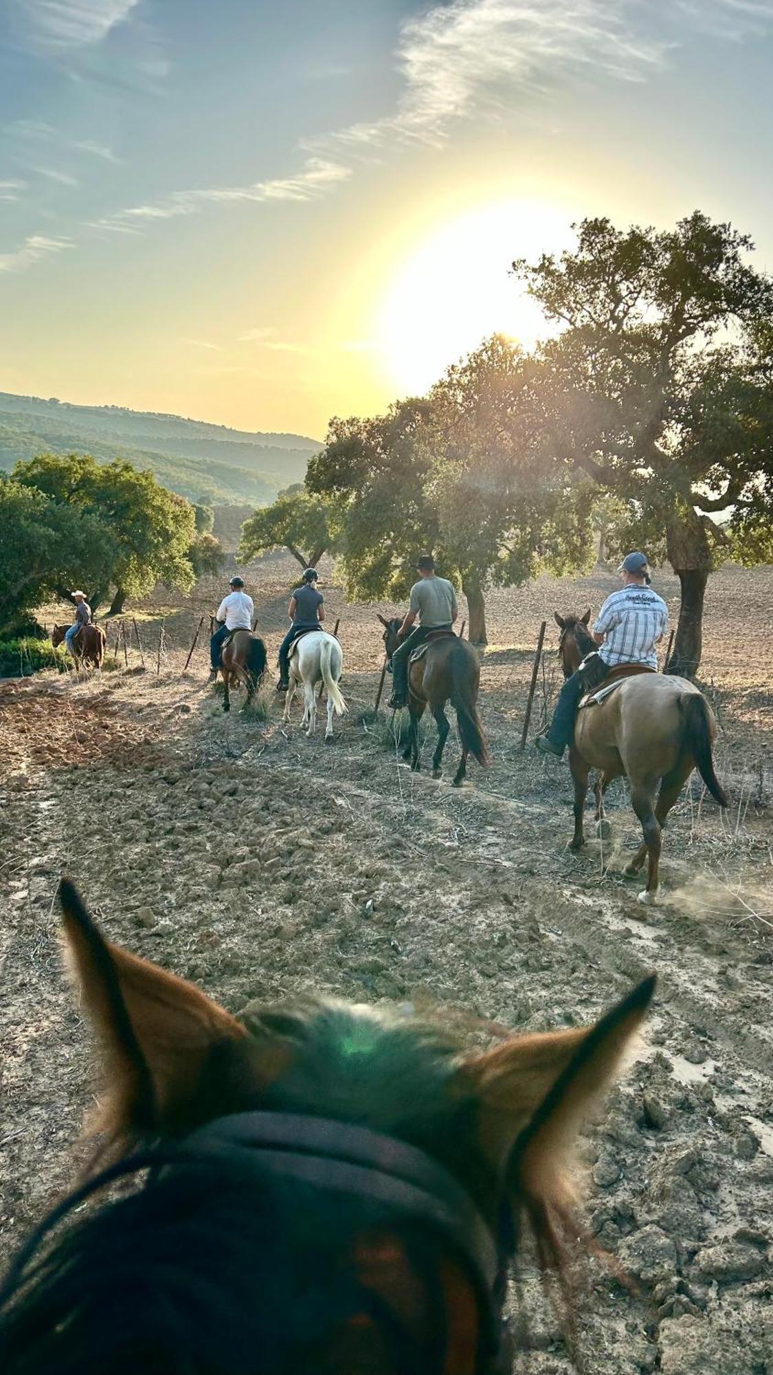 Rustica En Un Rancho Con Caballos, Prado Del Rey, Andalucia Campsite Prado Del Rey