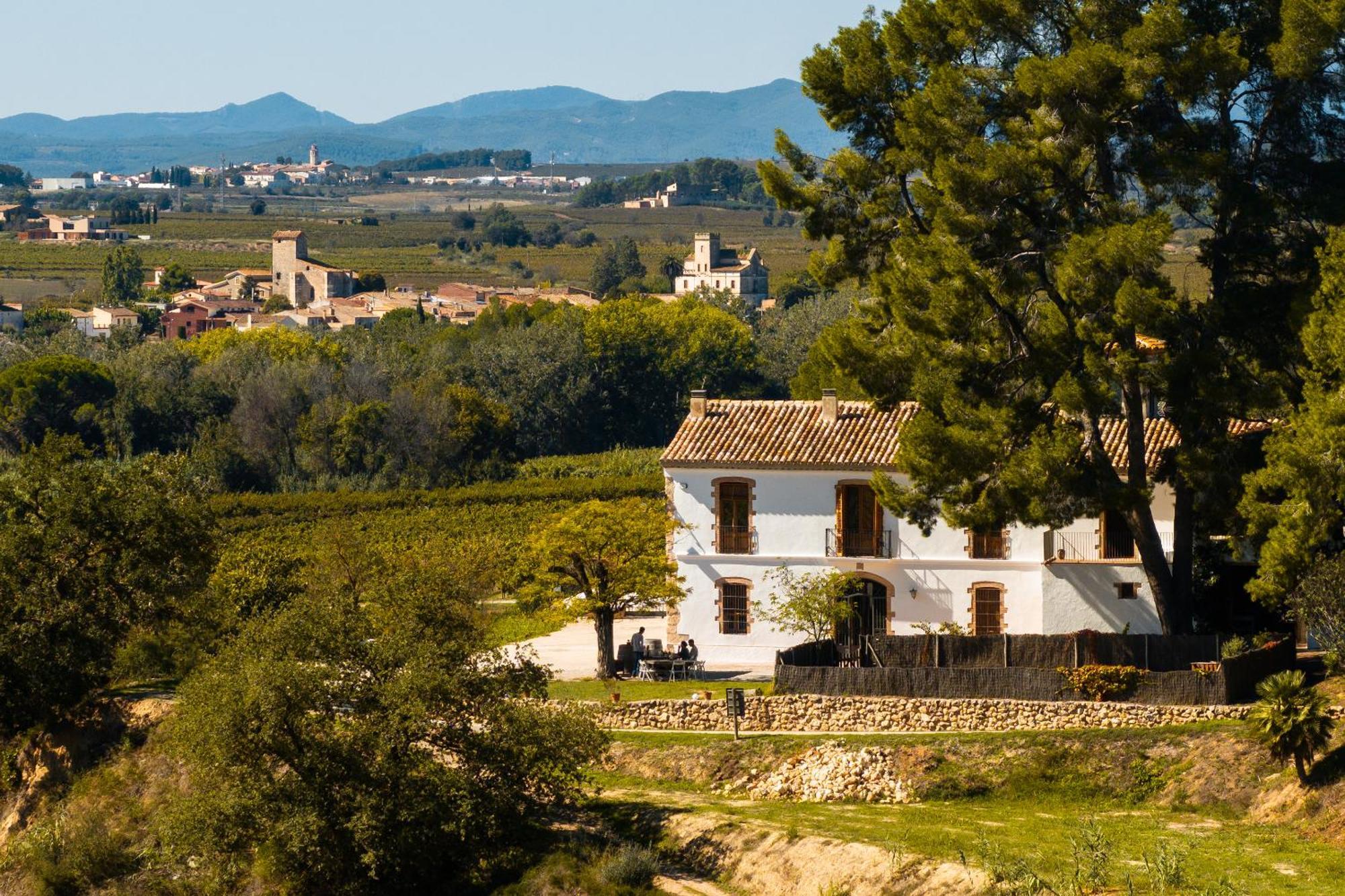 Villa Mas Grimosach - Masia En Y Bodega Ecologica - Adults Only Sant Pau d'Ordal