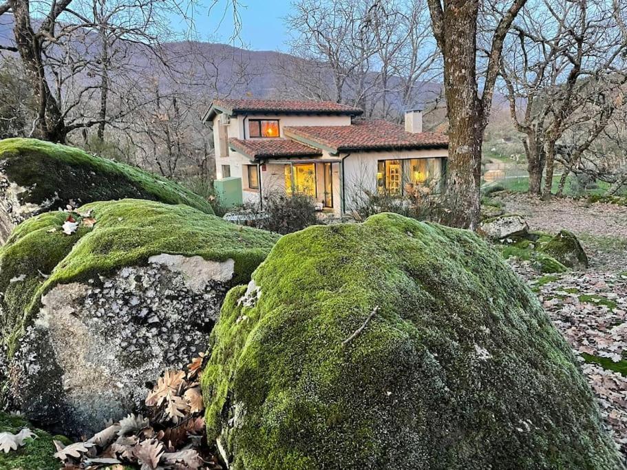 De Musgo Villa *