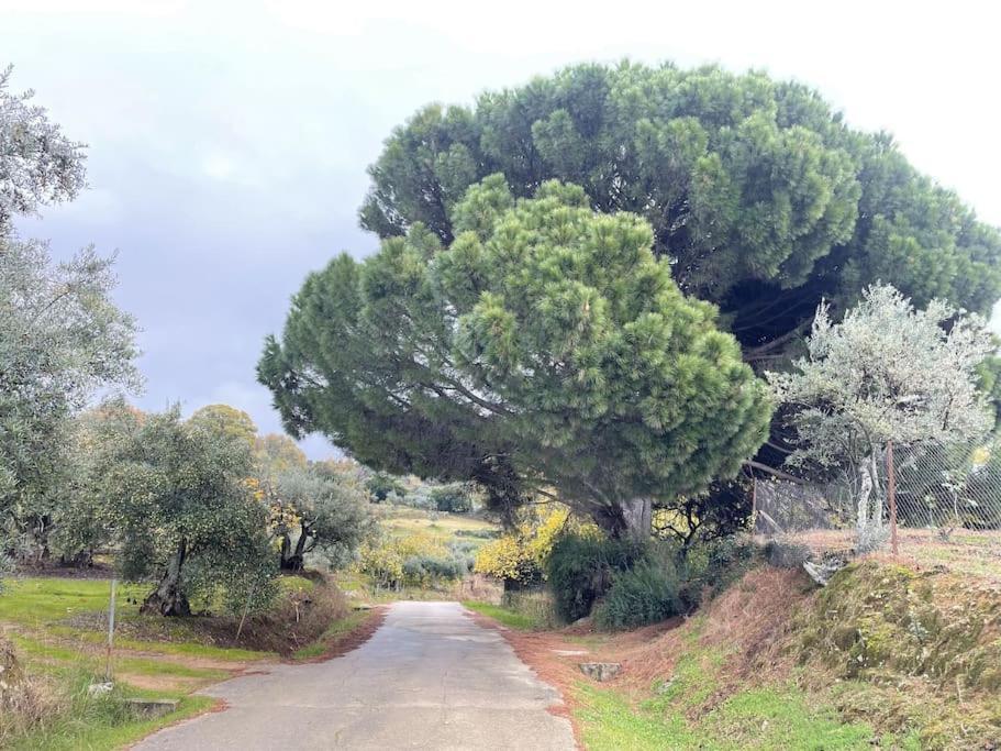 De Musgo Villa