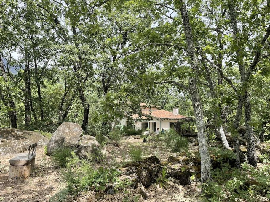 De Musgo Villa Valverde de la Vera