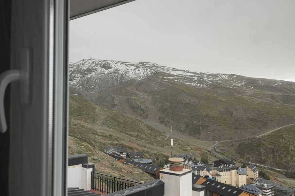 Lia Sierra Nevada