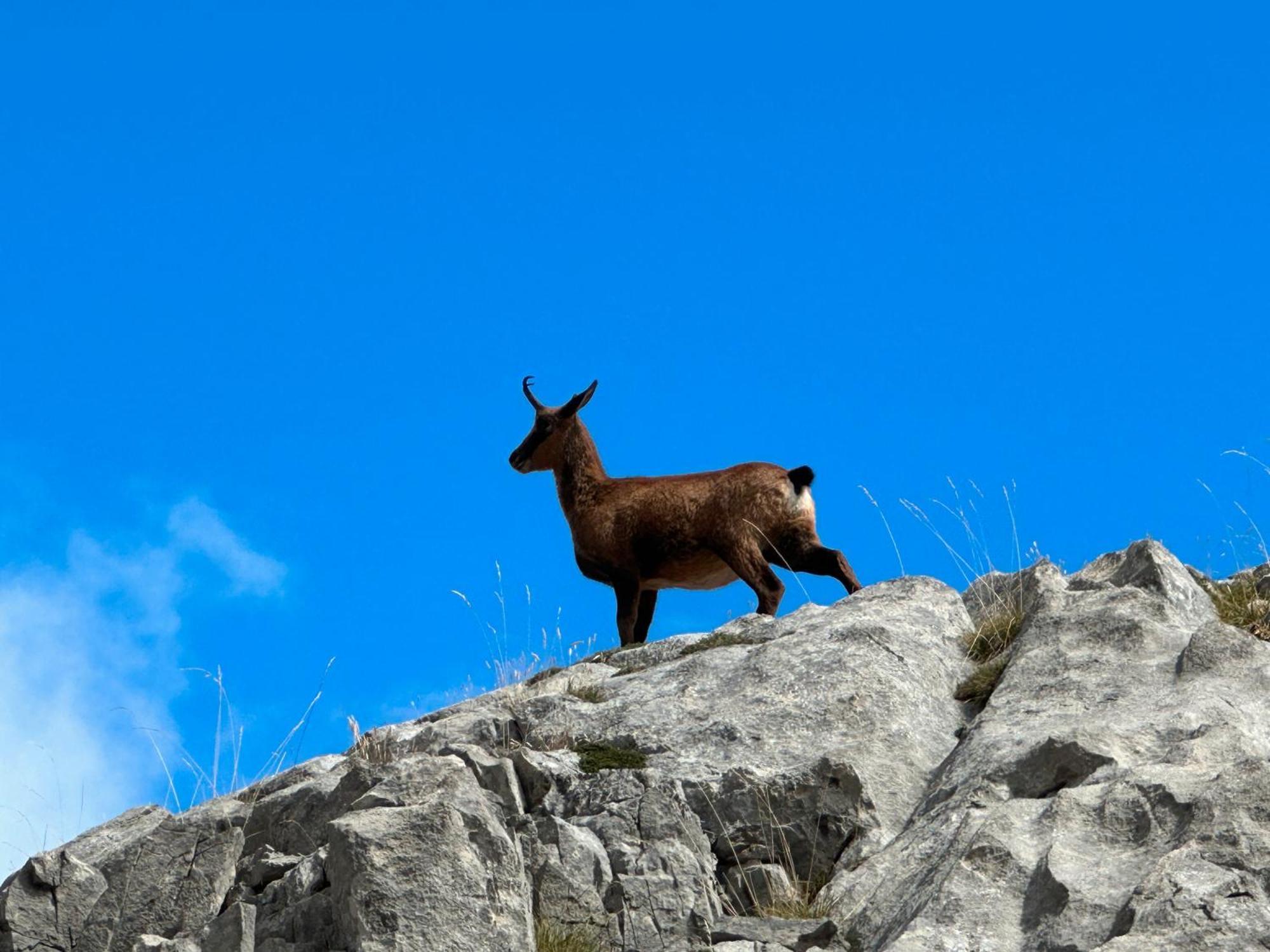 El Serenal