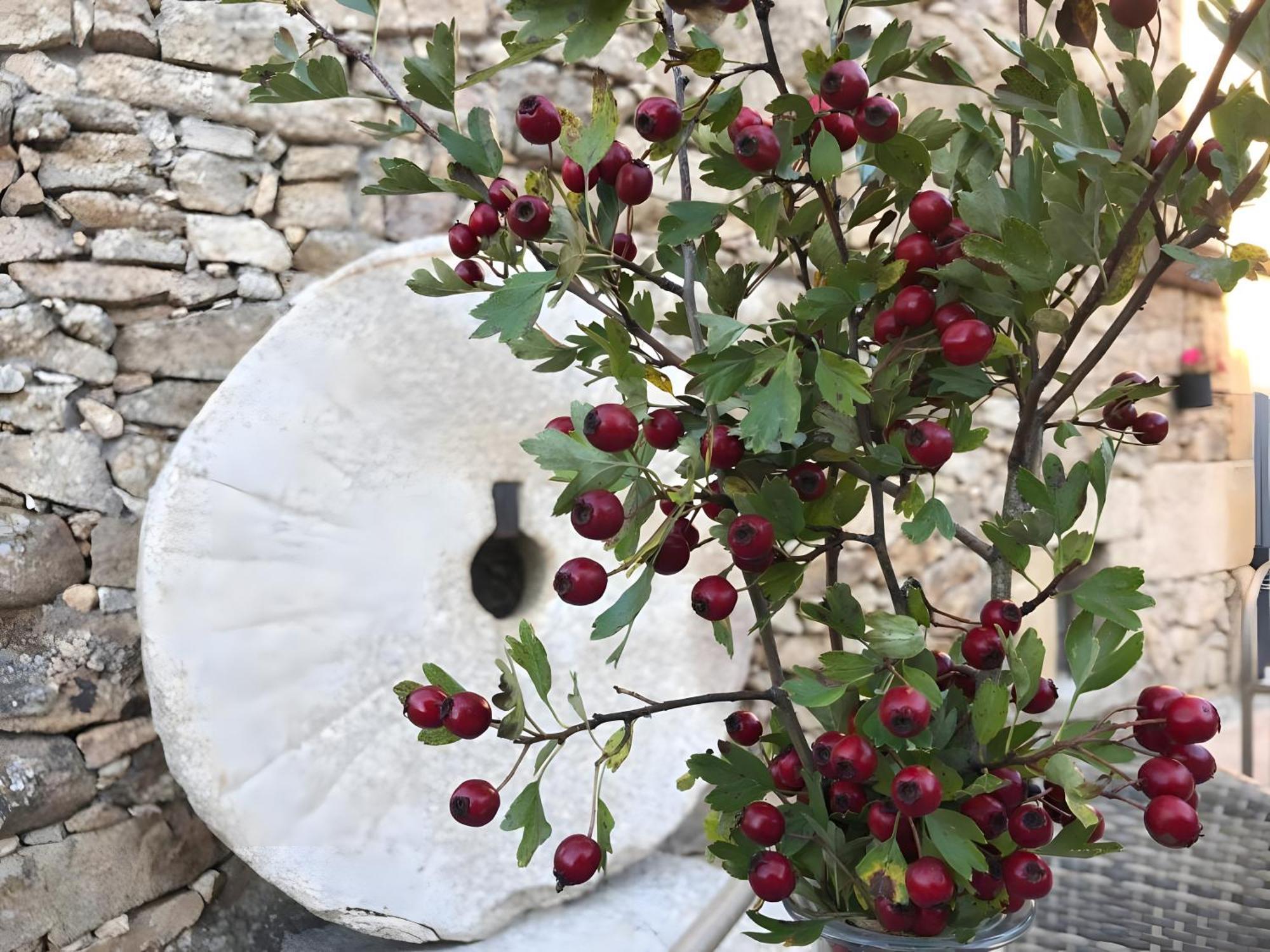 Bed and breakfast Gredos Maria Justina *