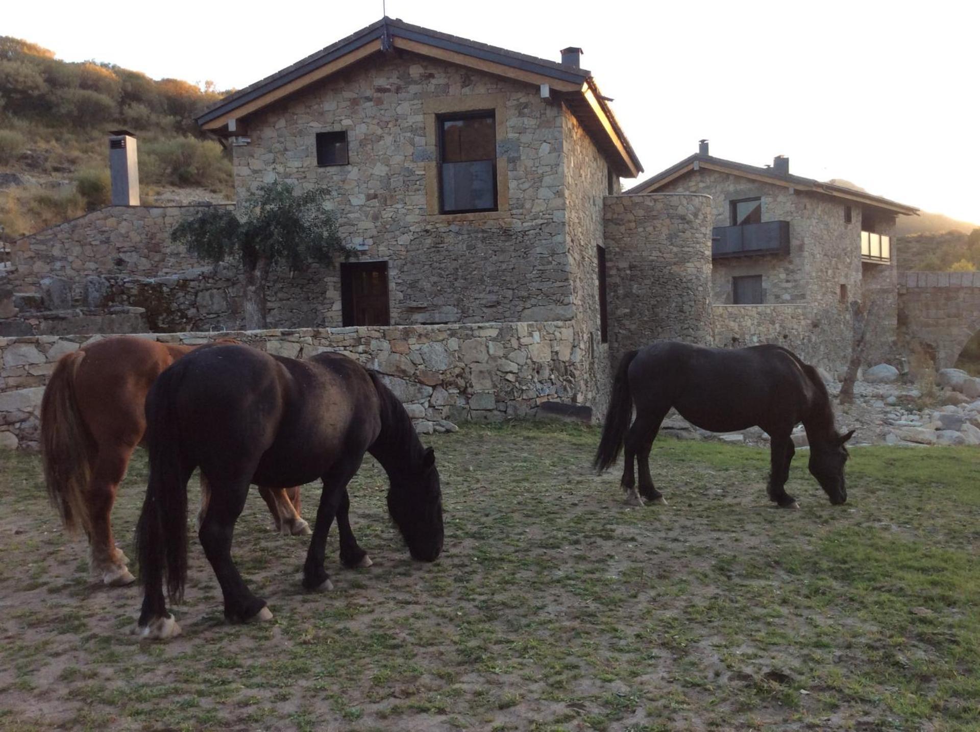 Gredos Maria Justina * Navacepeda de Tormes