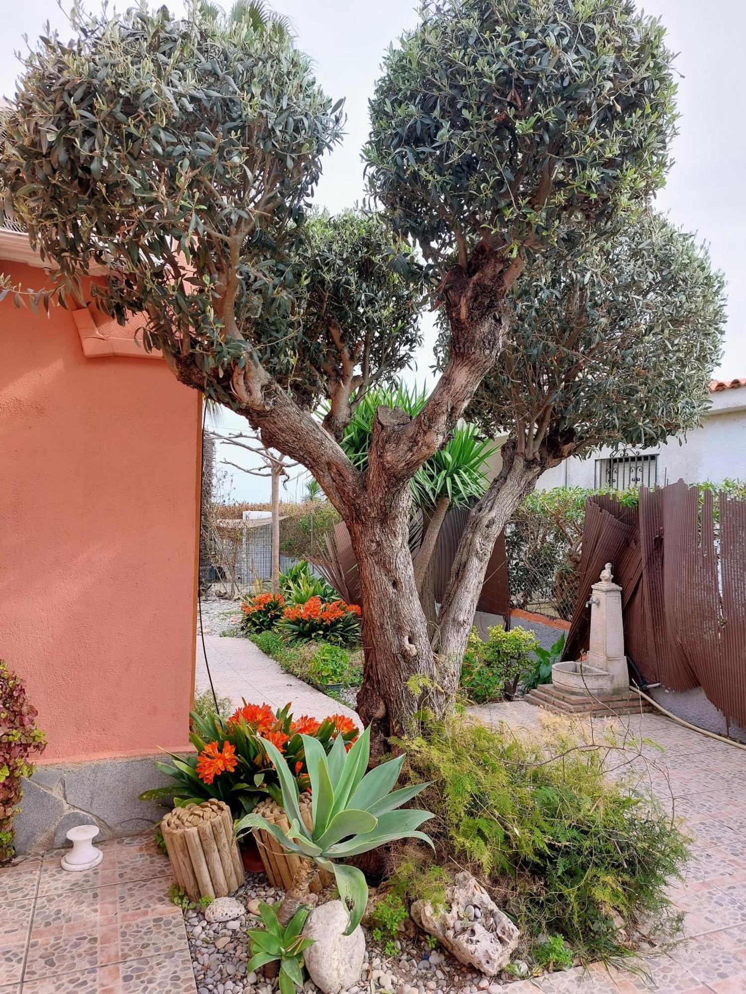 Chalet Acceso Directo Al Mar Holiday home