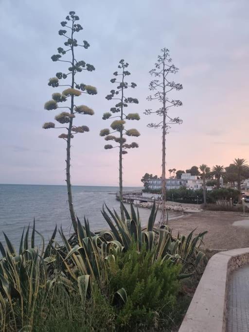 Apartamento Karolina Sant Carlos de la Ràpita
