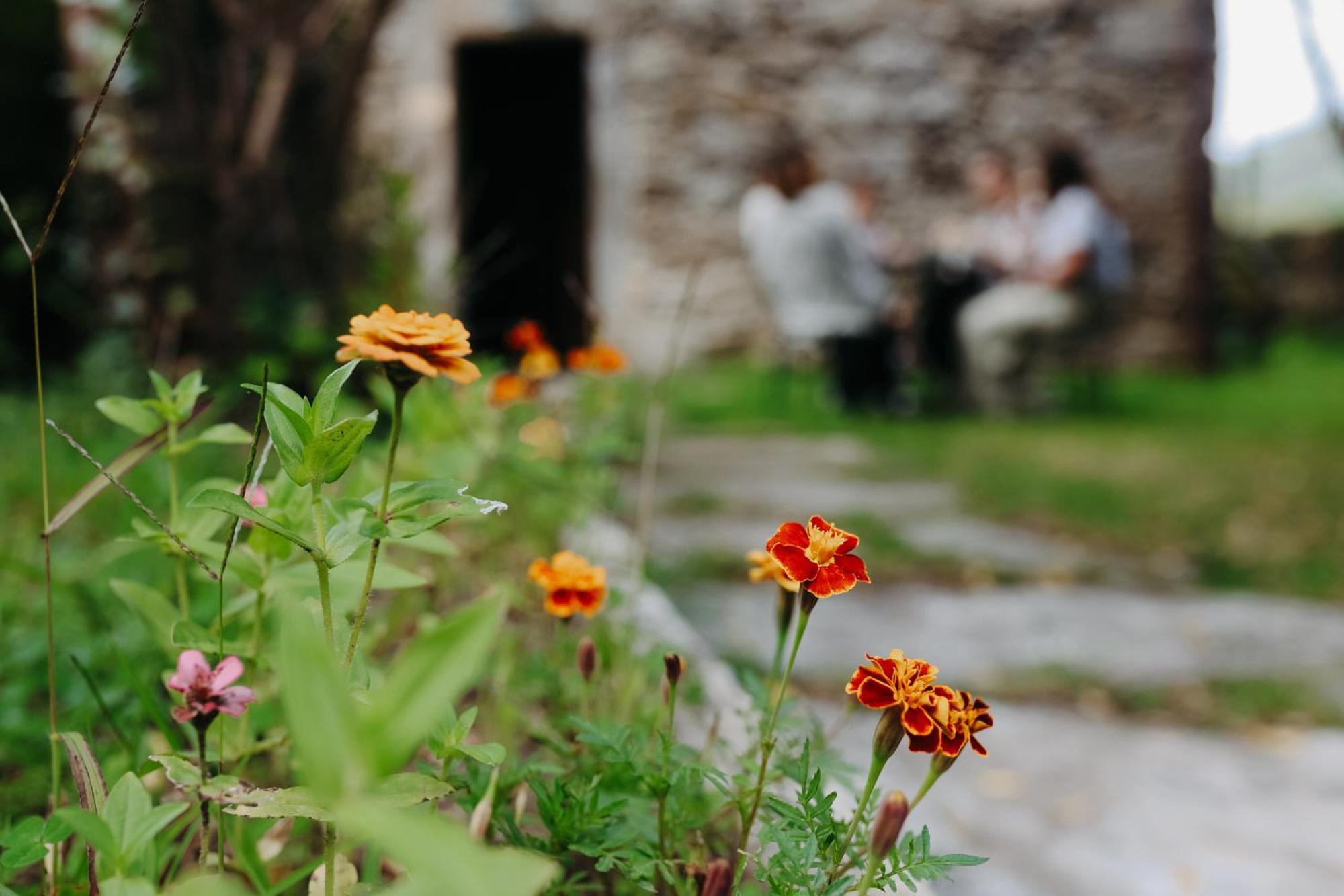 Country house Arrueiro