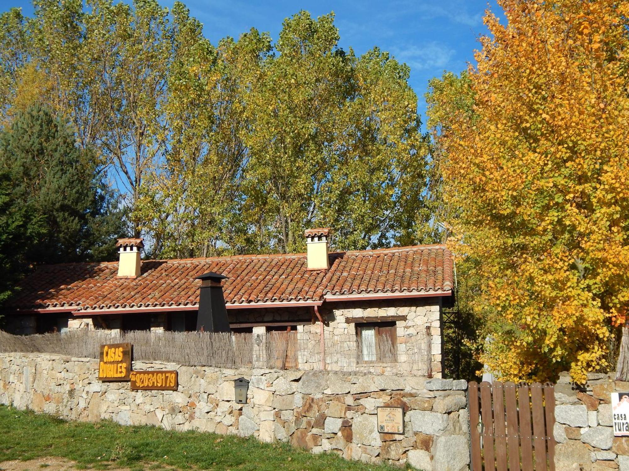 Cimera Ybrincalobitos