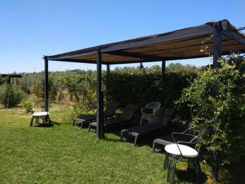 Bed & Breakfast Casa Ecuestre Carmen Martinez *