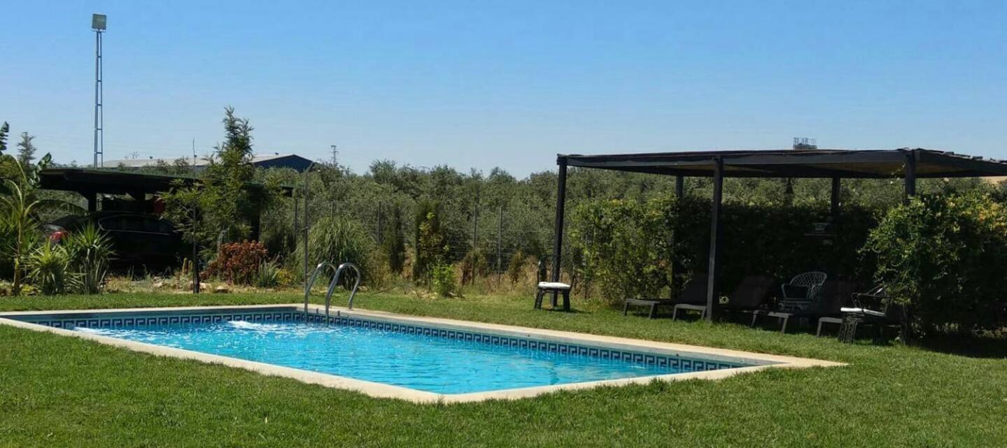 Casa Ecuestre Carmen Martinez Bed & Breakfast