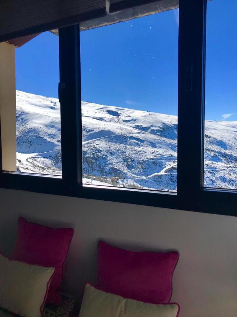Monte Oiz Premium 1