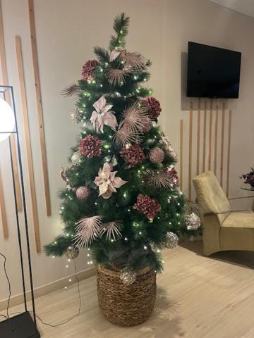 Guest house La Basilica *