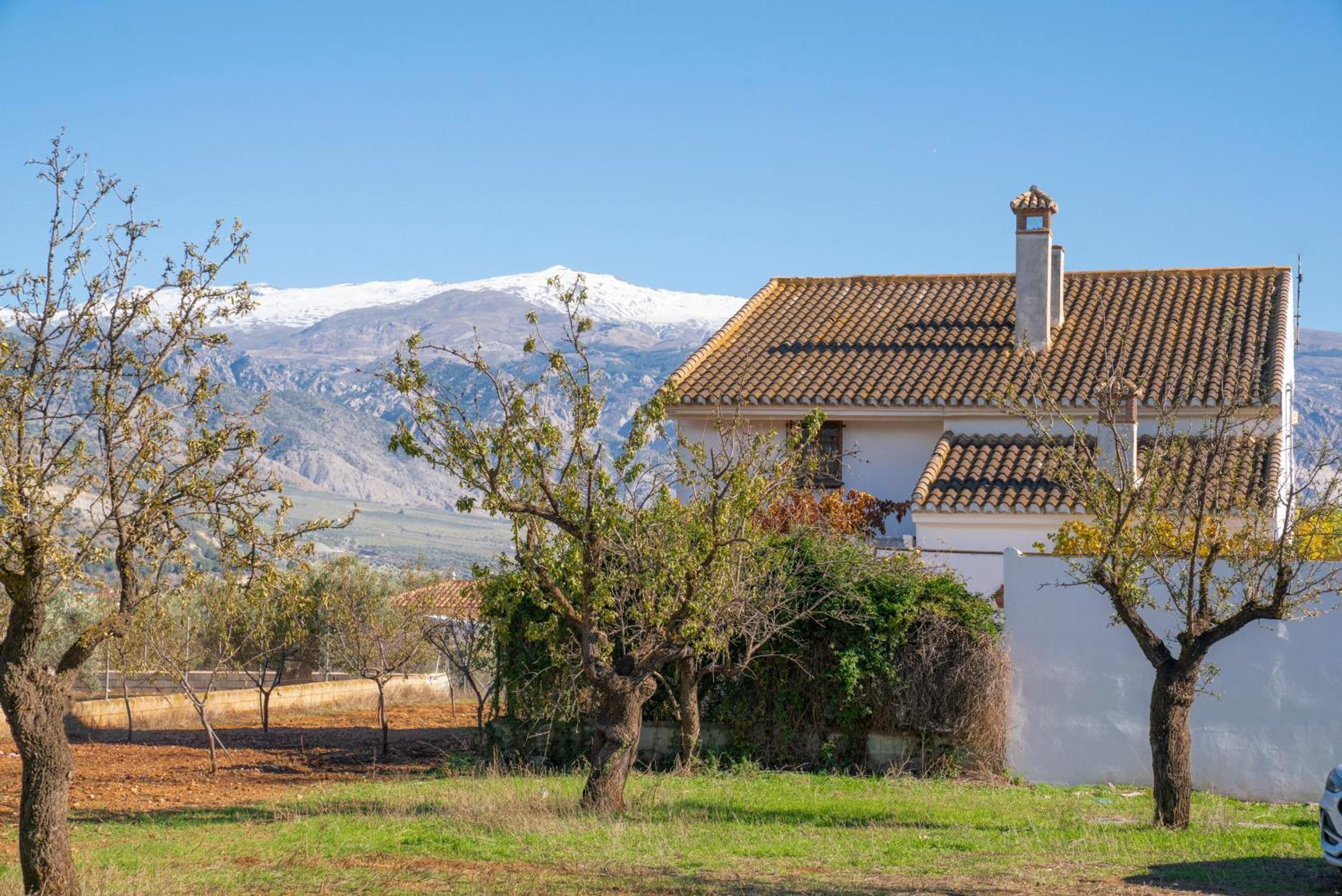 Buenos Dias Chimenea Barbacoa Y Piscina Padul