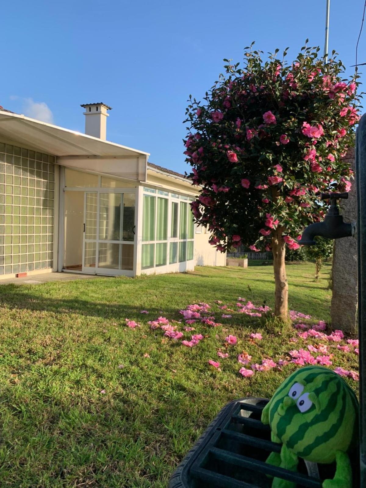 Bed & Breakfast A Casa De Abelleira