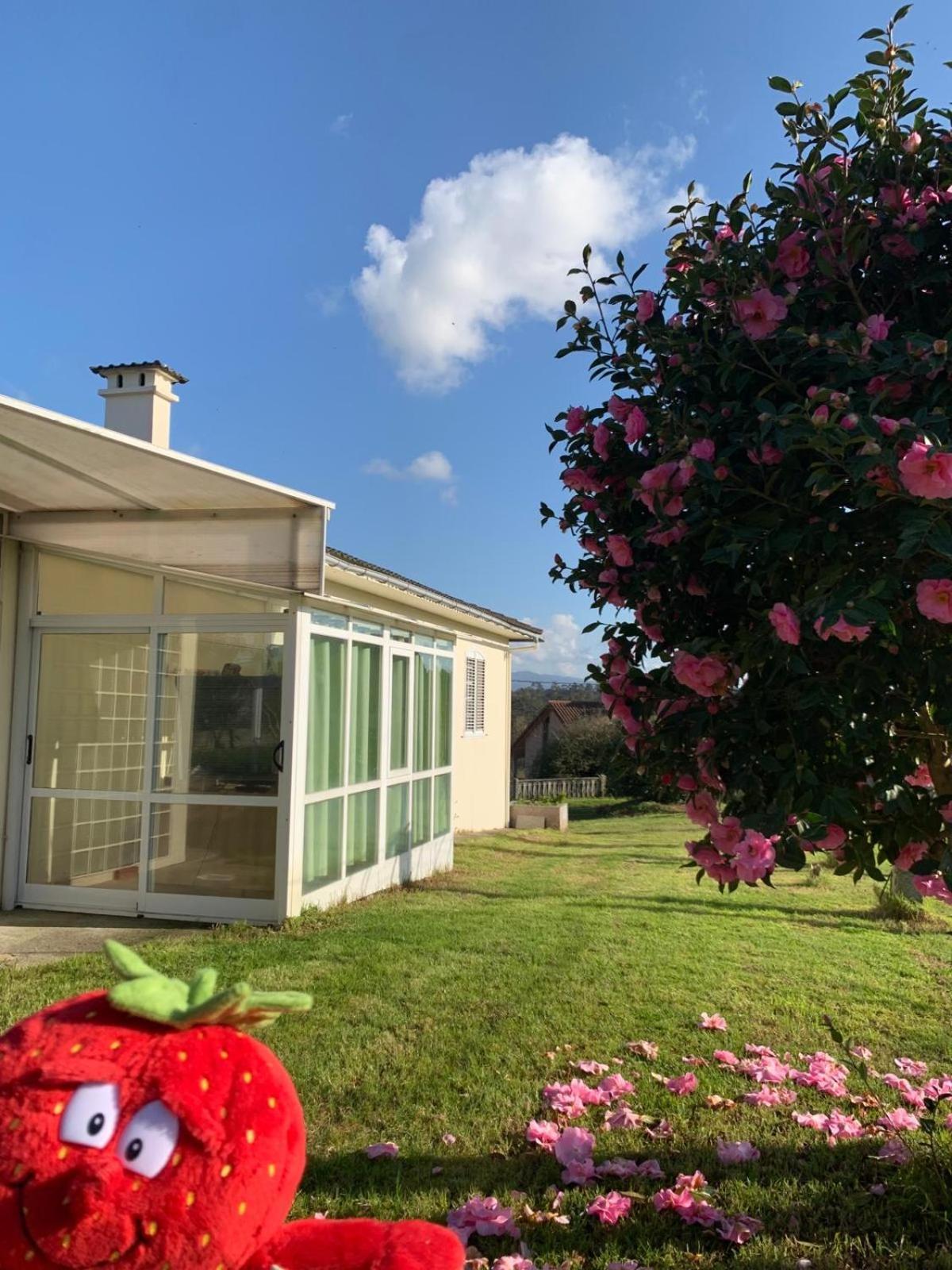 A Casa De Abelleira Bed & Breakfast