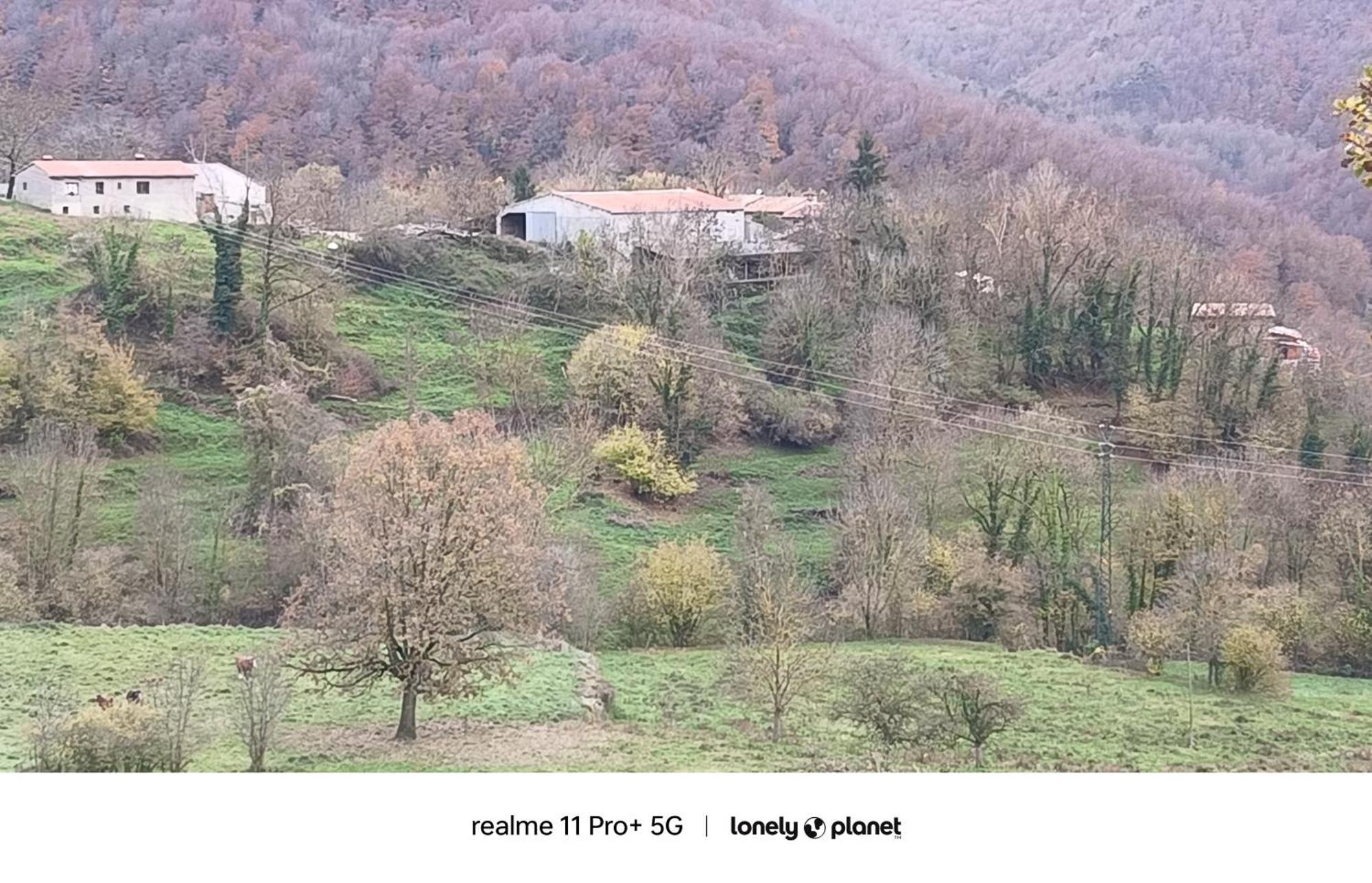 Allotjaments Rurals Punti Farm stay