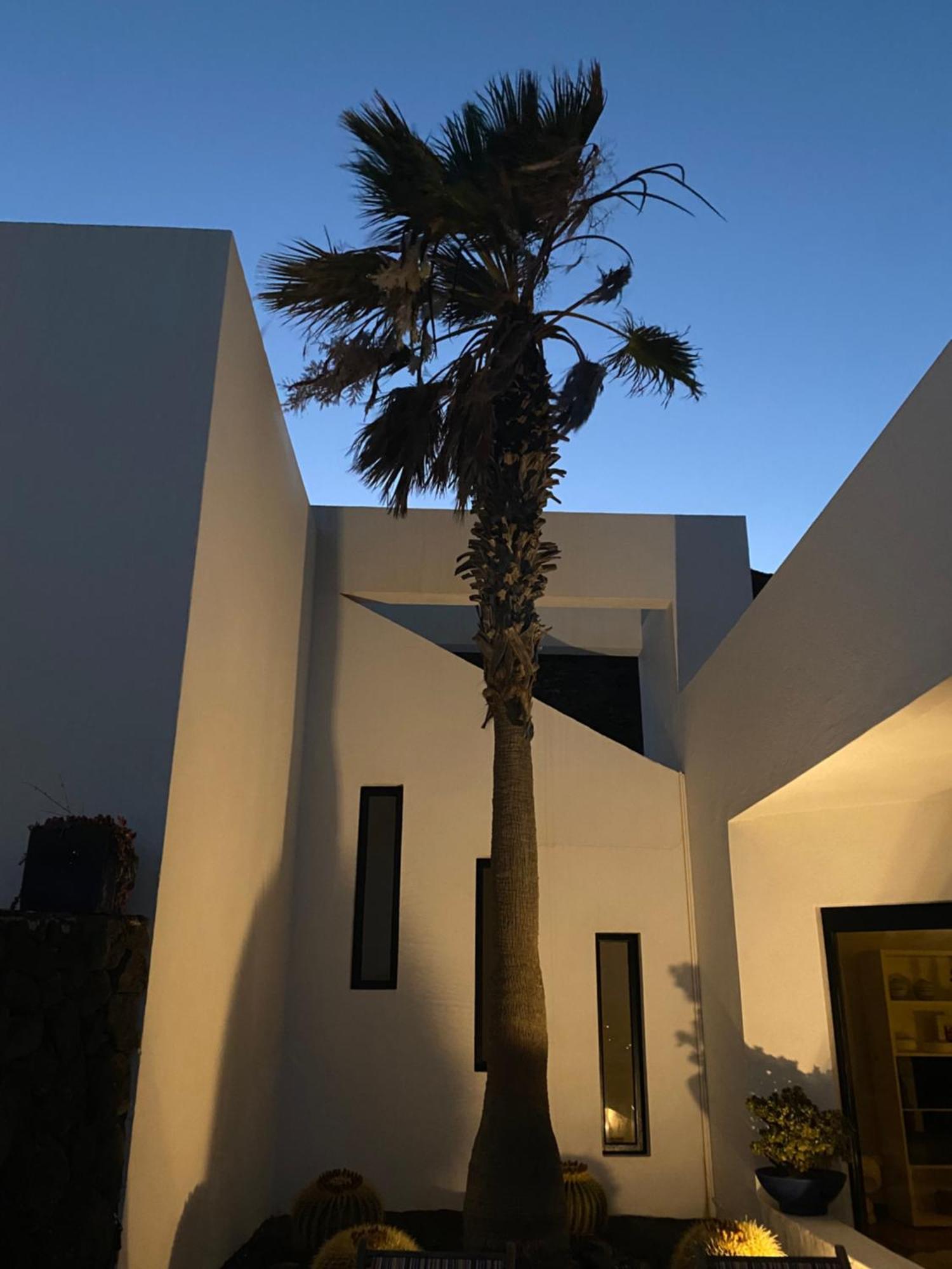 V Villa *