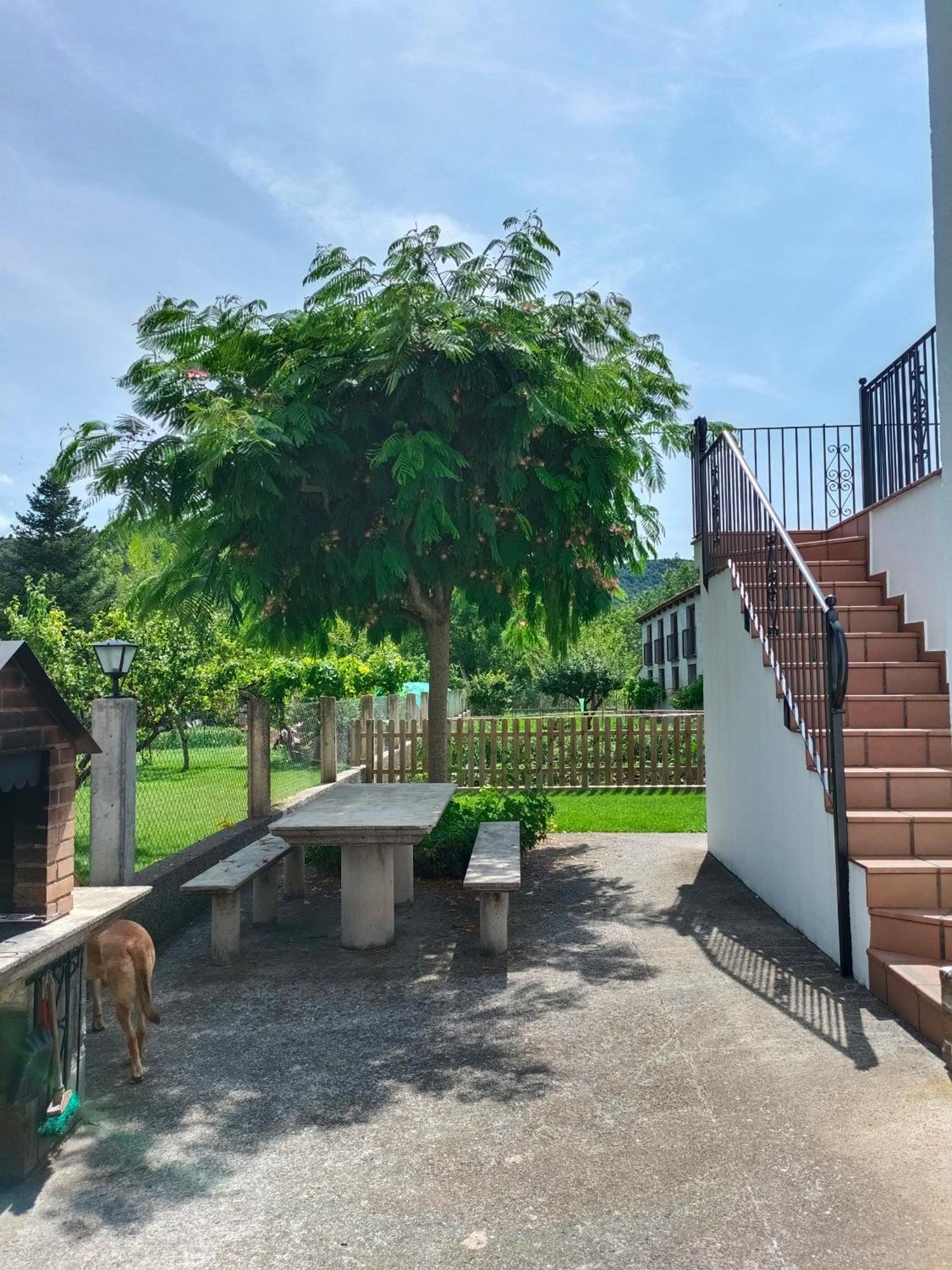 Rural Casa Paco Con Chimenea Y Jacuzzi Exterior * Aínsa