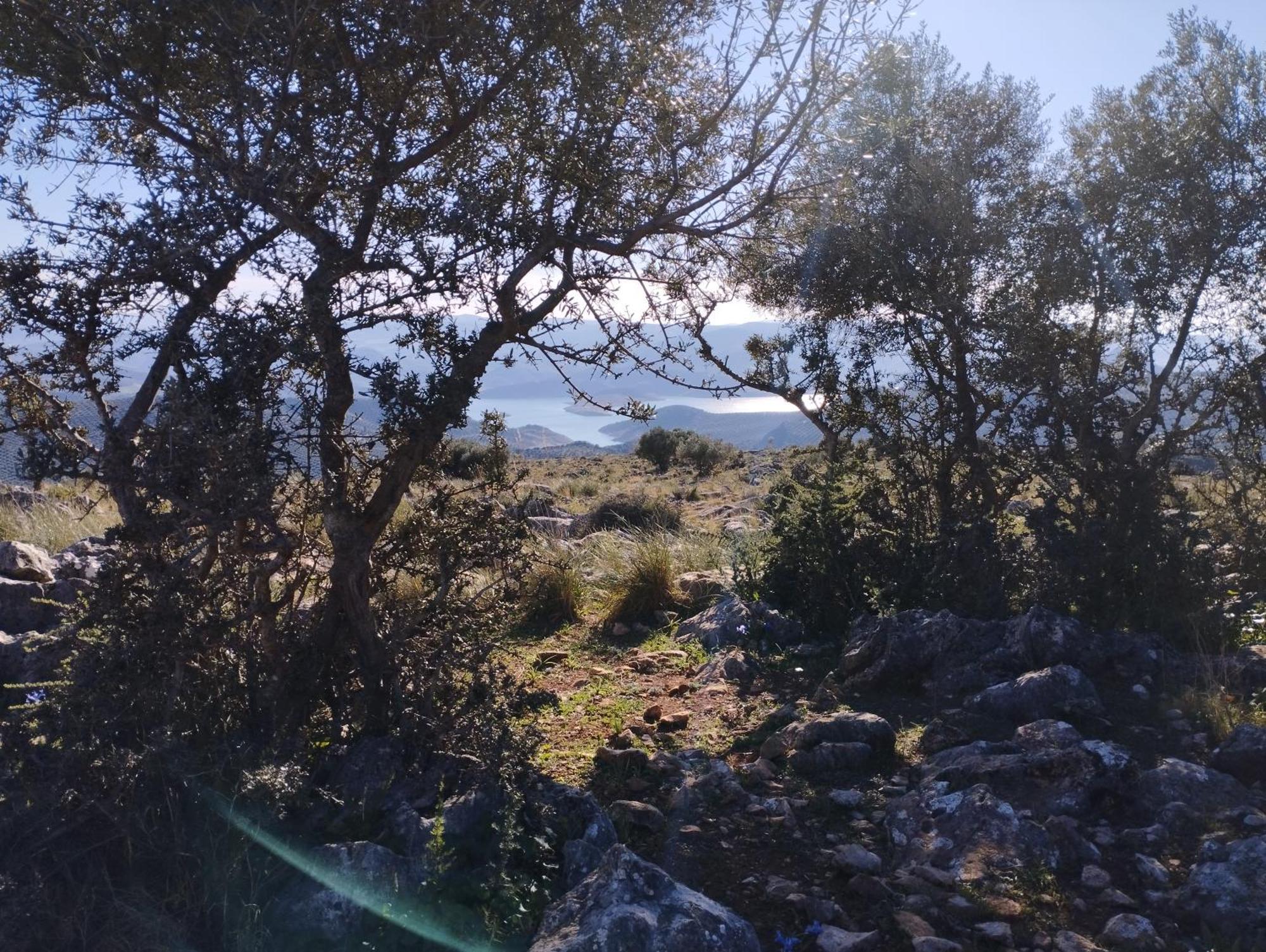 La Rutena Сasa de vacaciones Rute