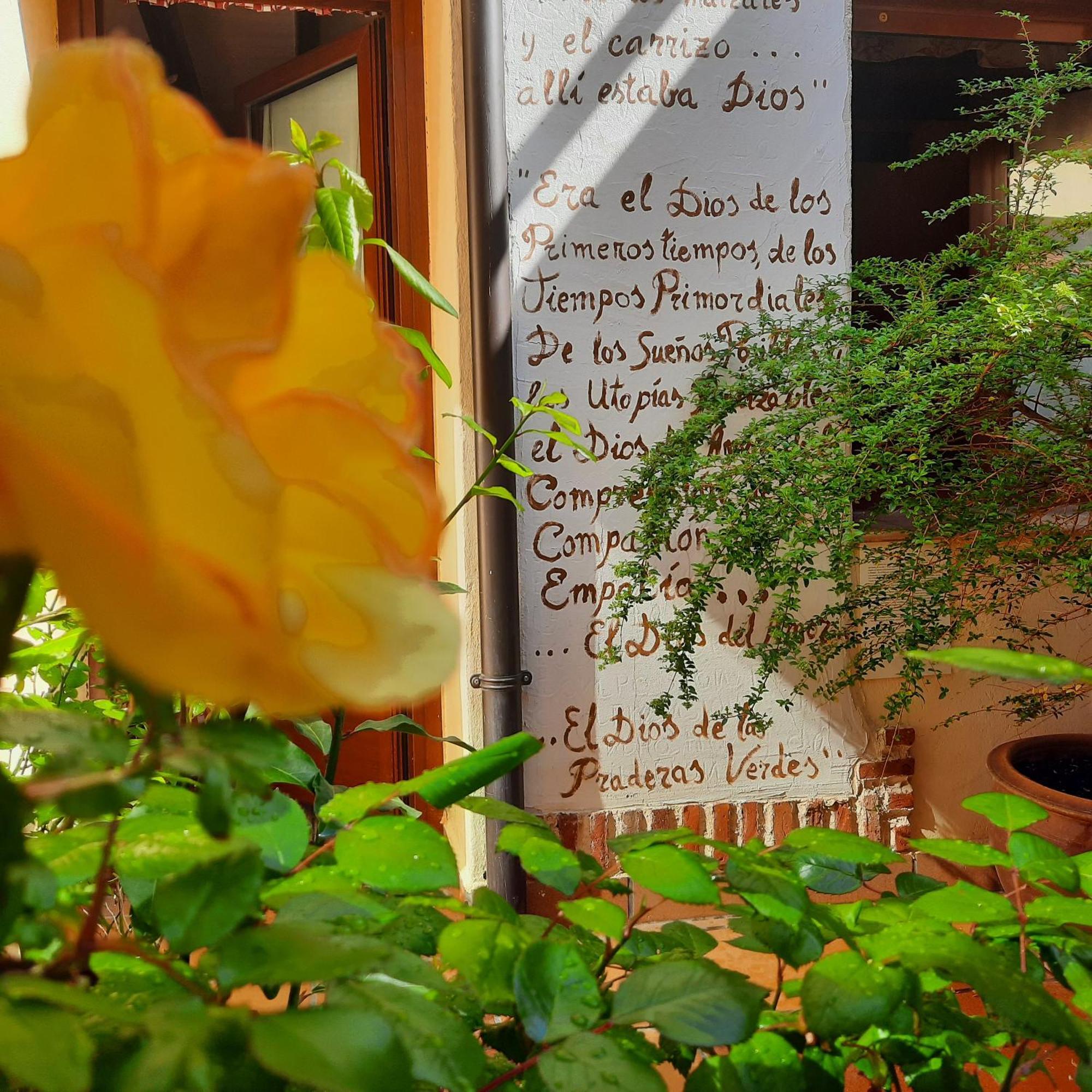 Beautiful Alamedas - Con Historia Unica Castronuno