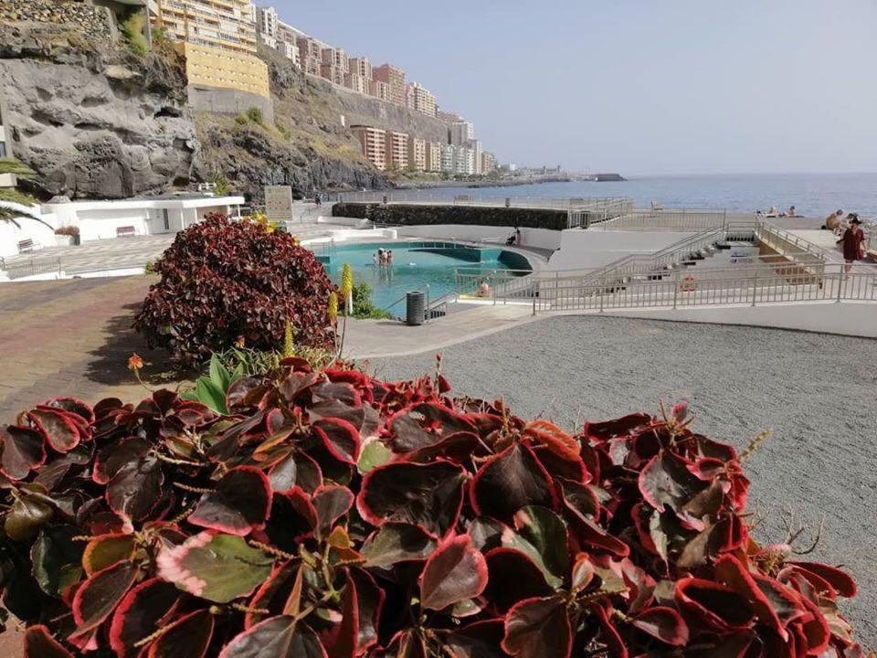 Apartamento Precioso Frente Al Mar, Parking Y Club Deportivo