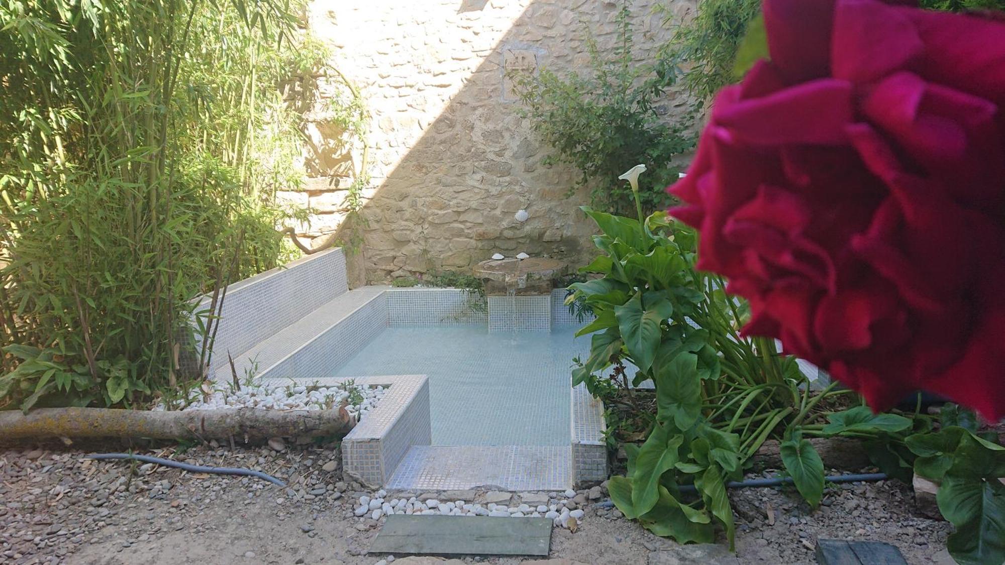 - El Oasis Del Camino Frances * Sansol