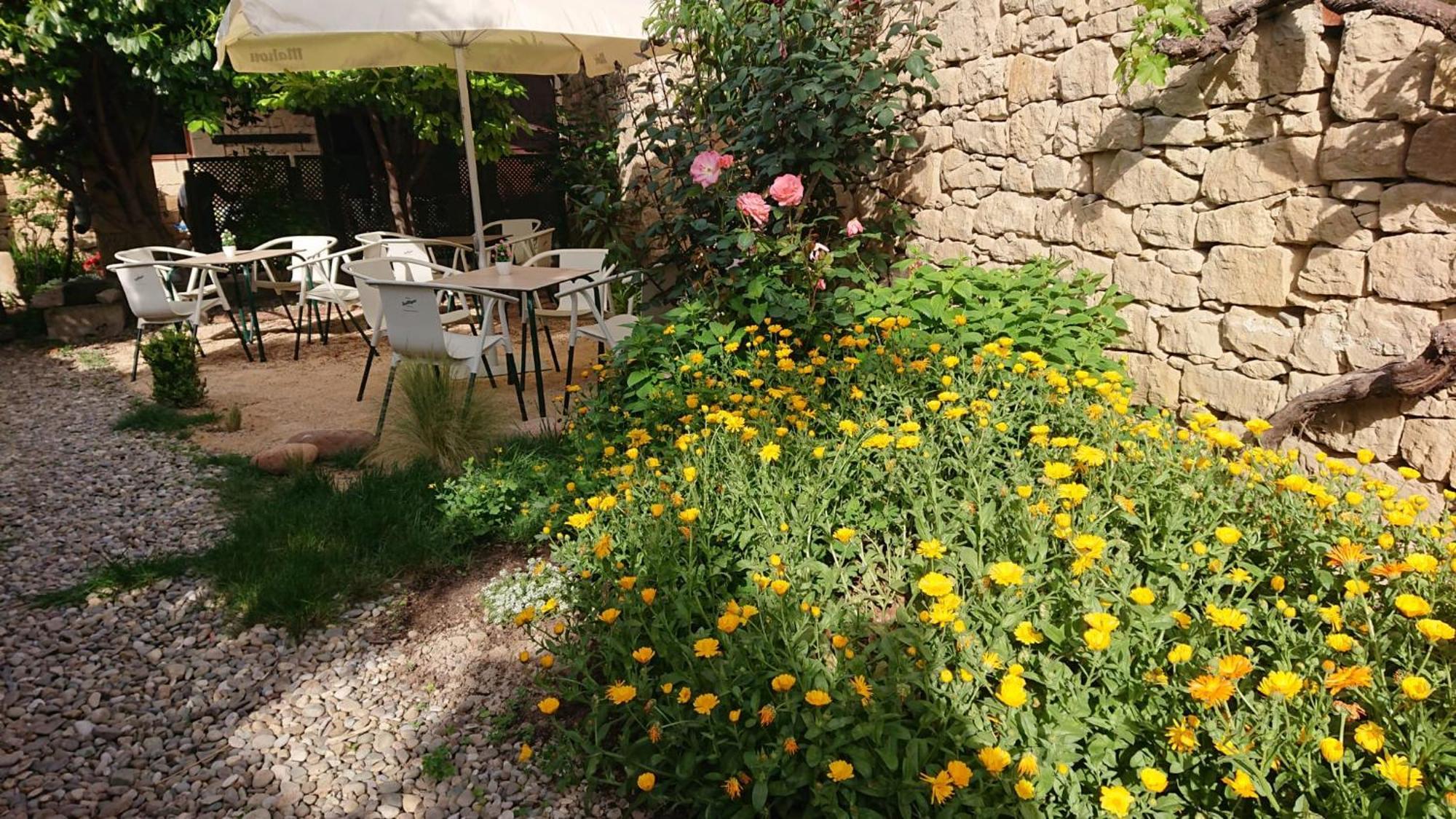 Hostel - El Oasis Del Camino Frances Sansol