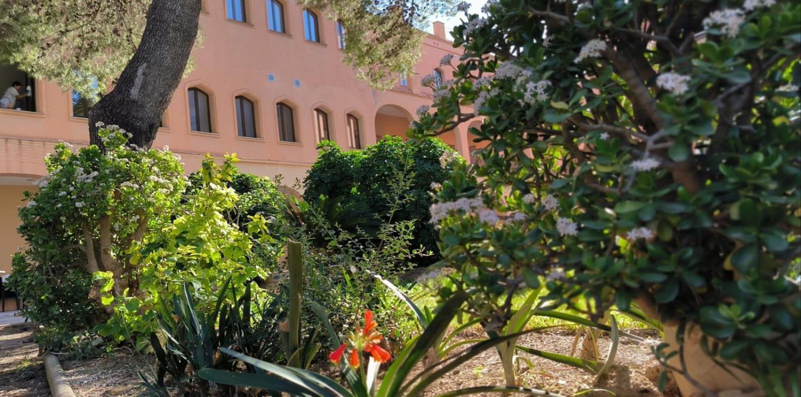 Rosa Molas Bed and breakfast Arrabal de Jesus