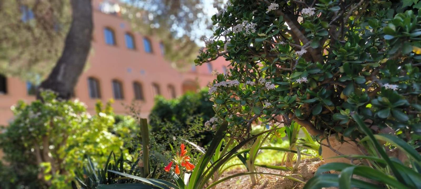Bed and breakfast Rosa Molas Arrabal de Jesus
