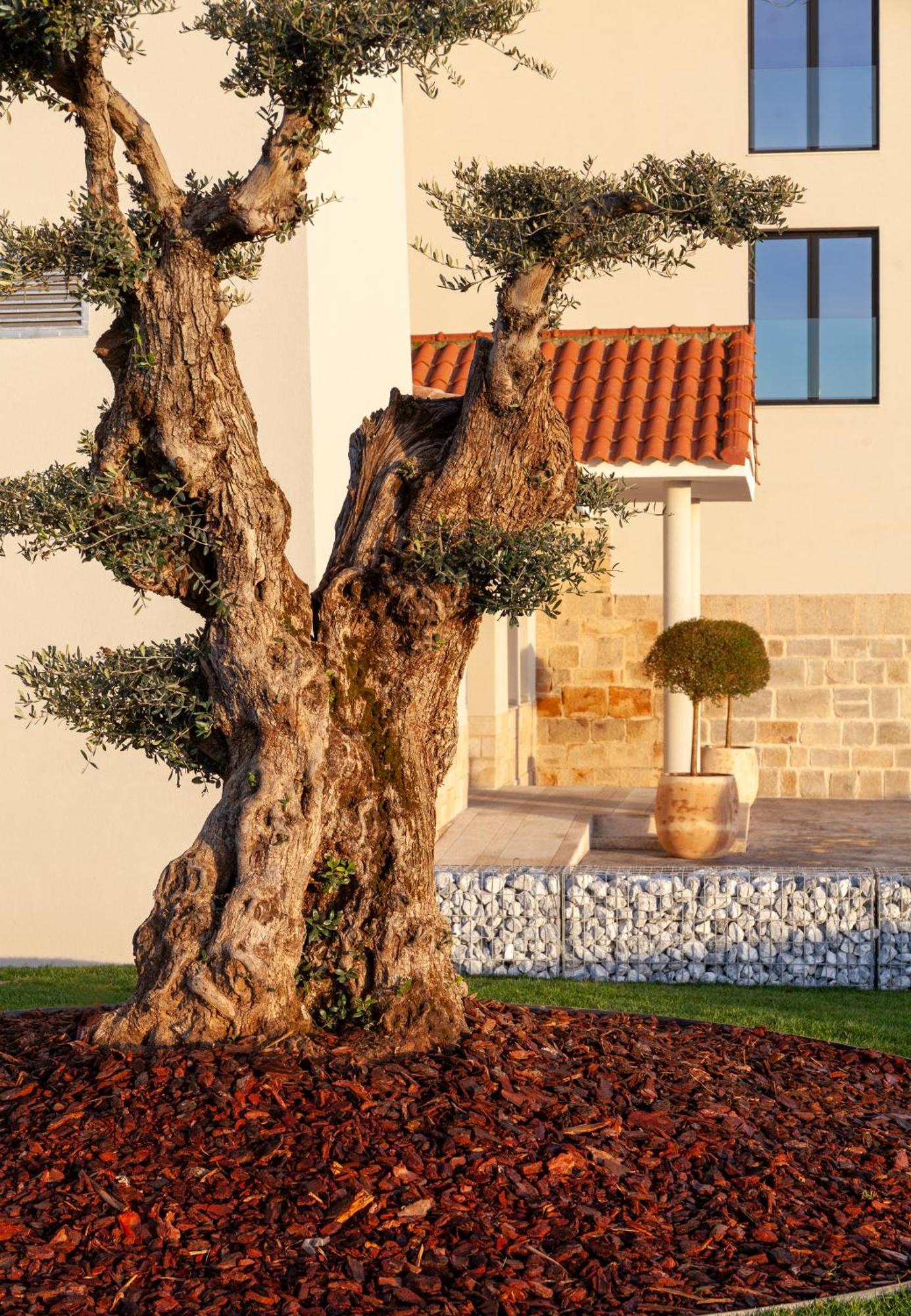 Rural La Desa Hotel 4*