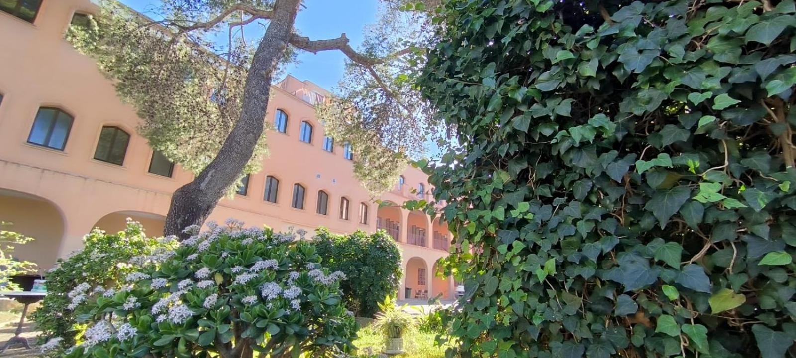 Rosa Molas Bed and breakfast Arrabal de Jesus