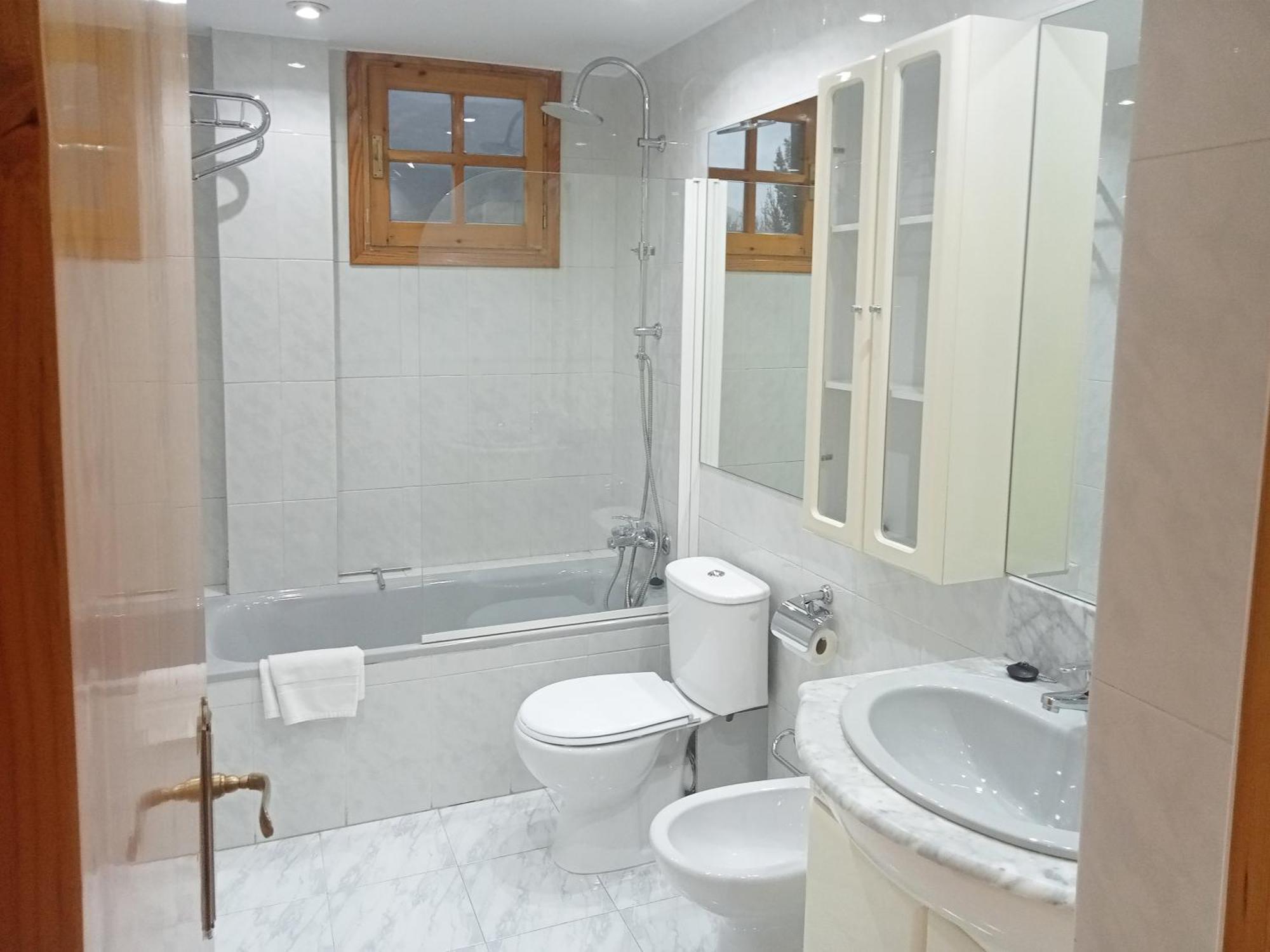Apartamento Valle De Tena - Biescas *