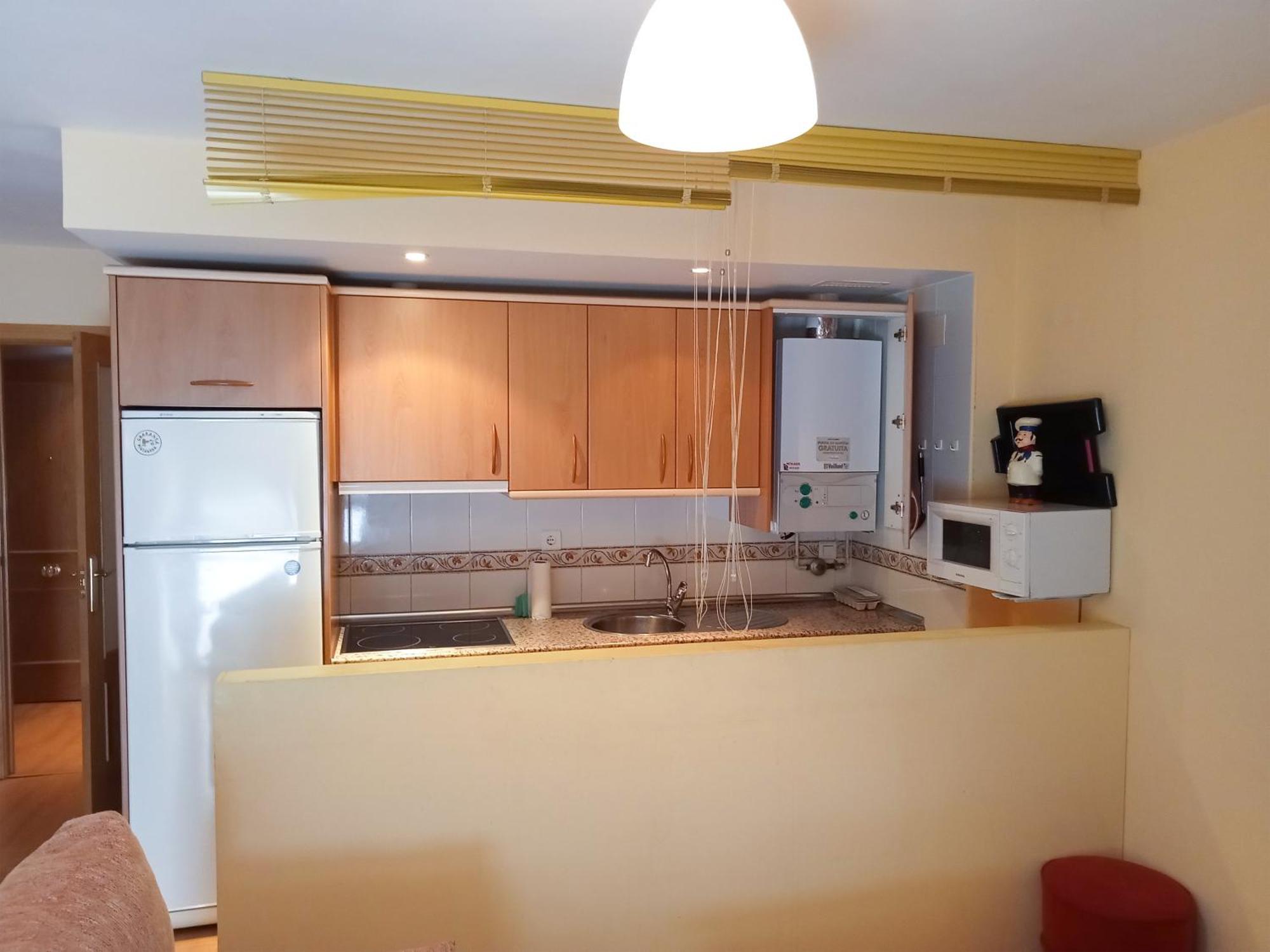 Apartamento Valle De Tena - Biescas