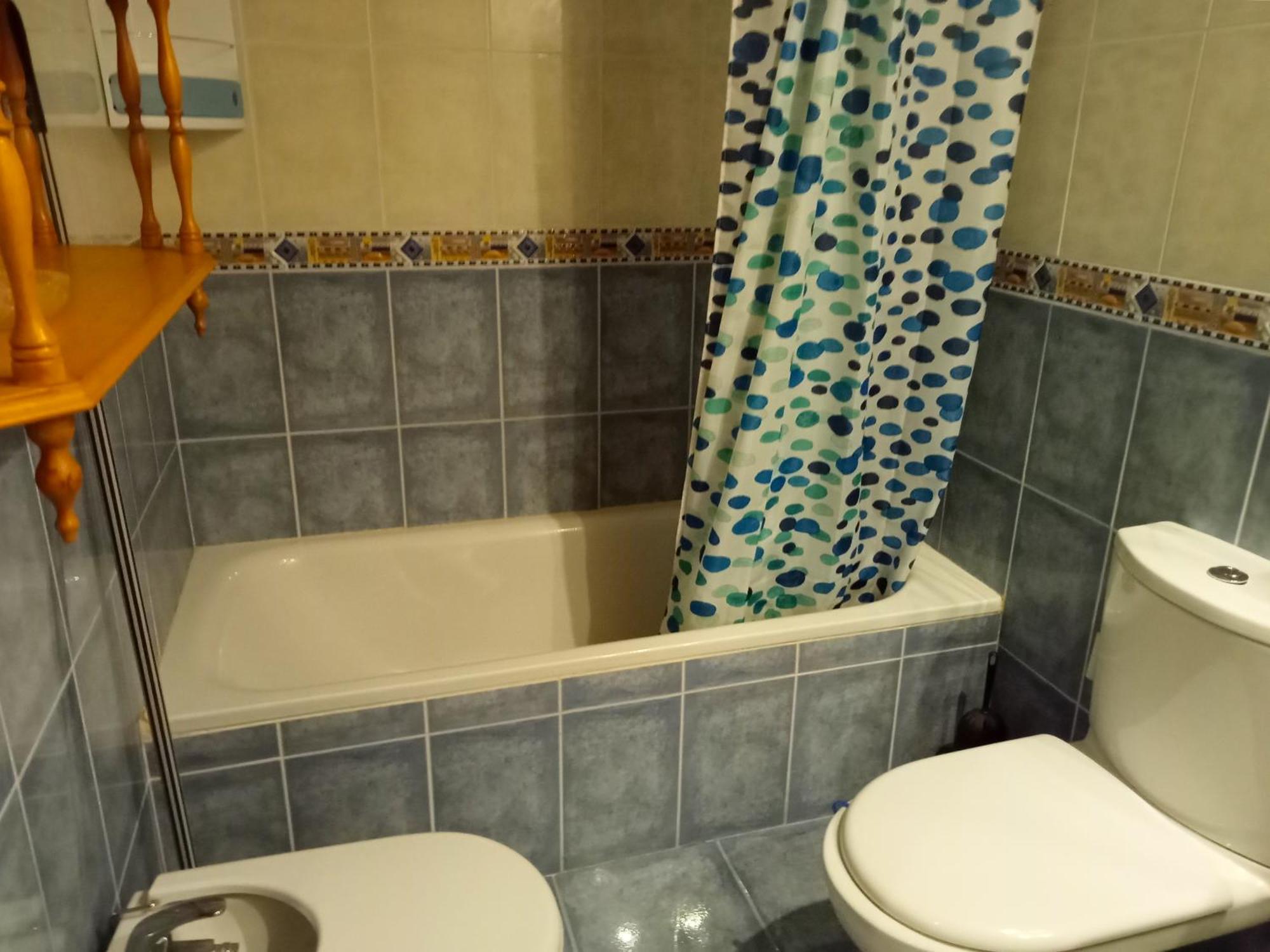 Valle De Tena - Biescas Apartamento
