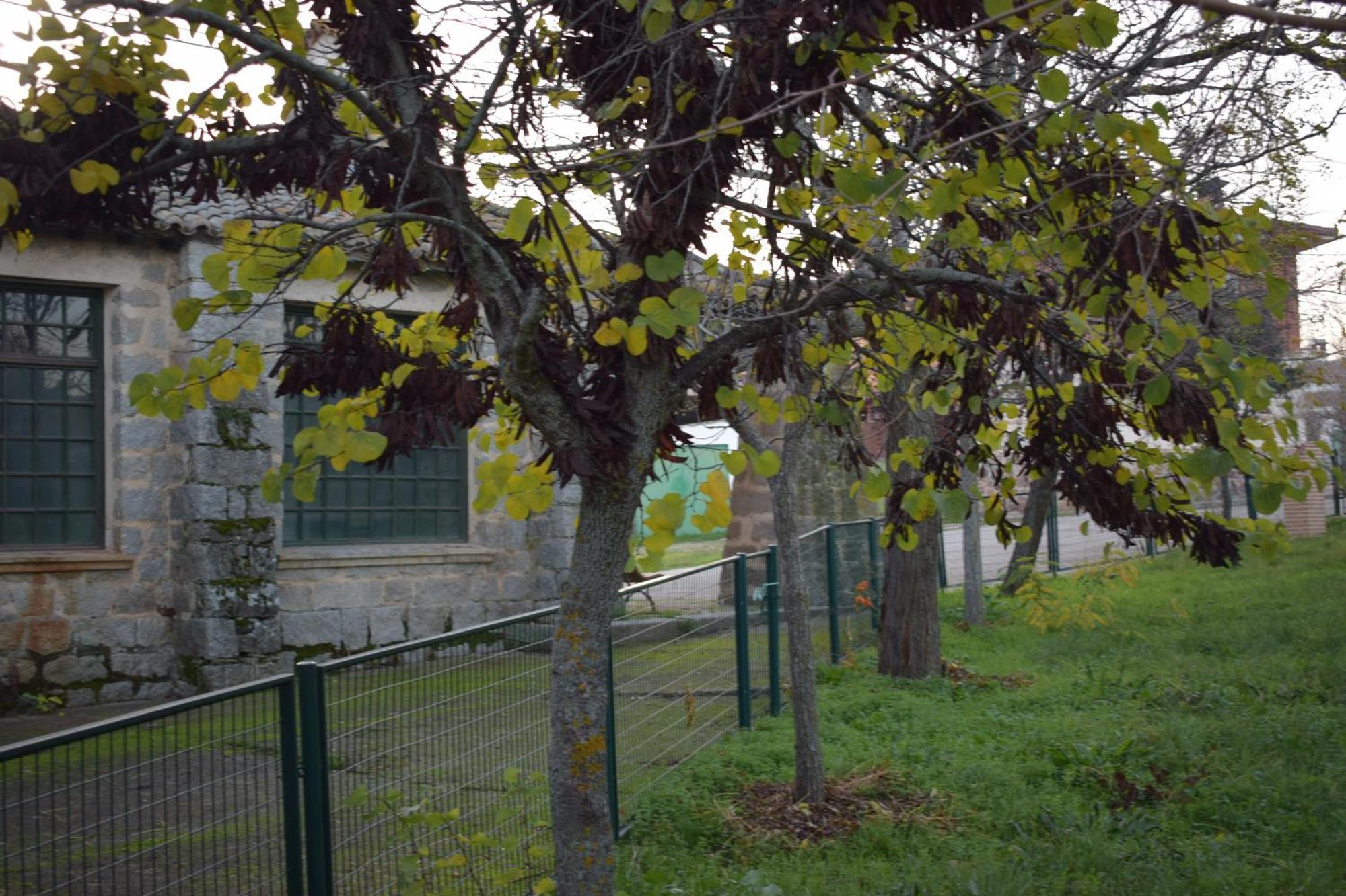 Holiday home Casa Rural *