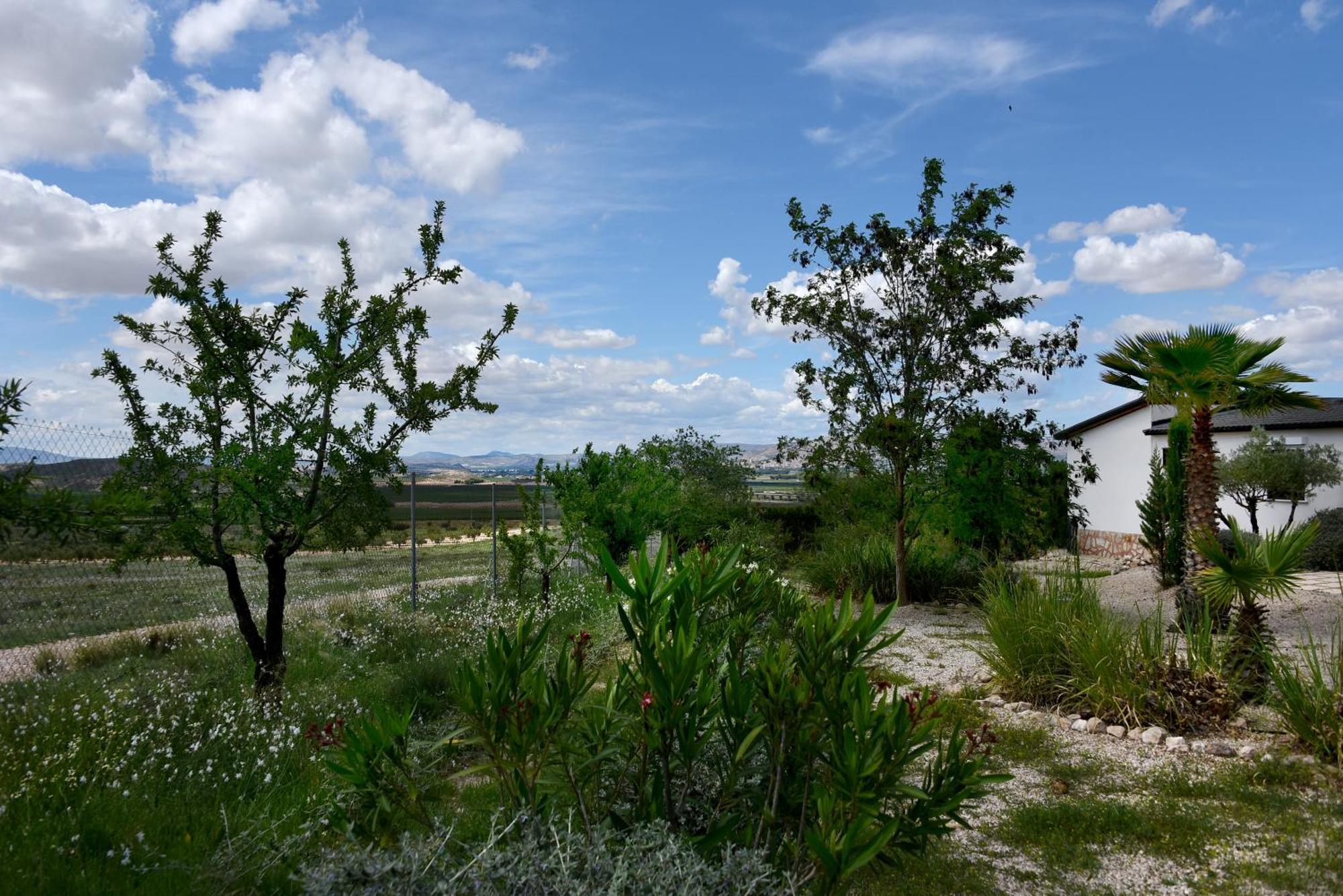 Apartamento Hacienda Cabreras *