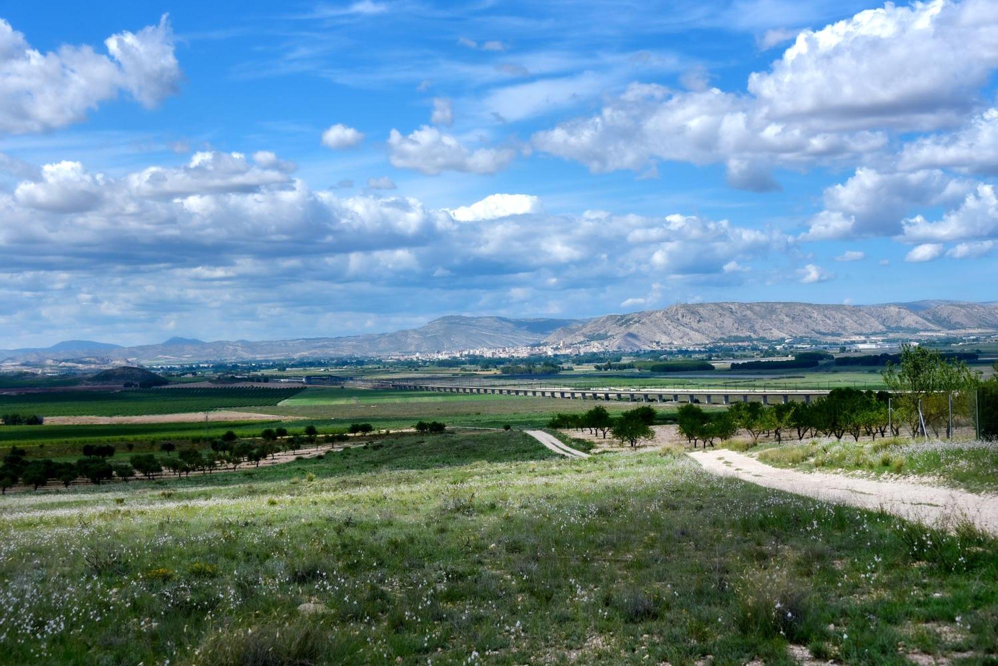 Hacienda Cabreras *